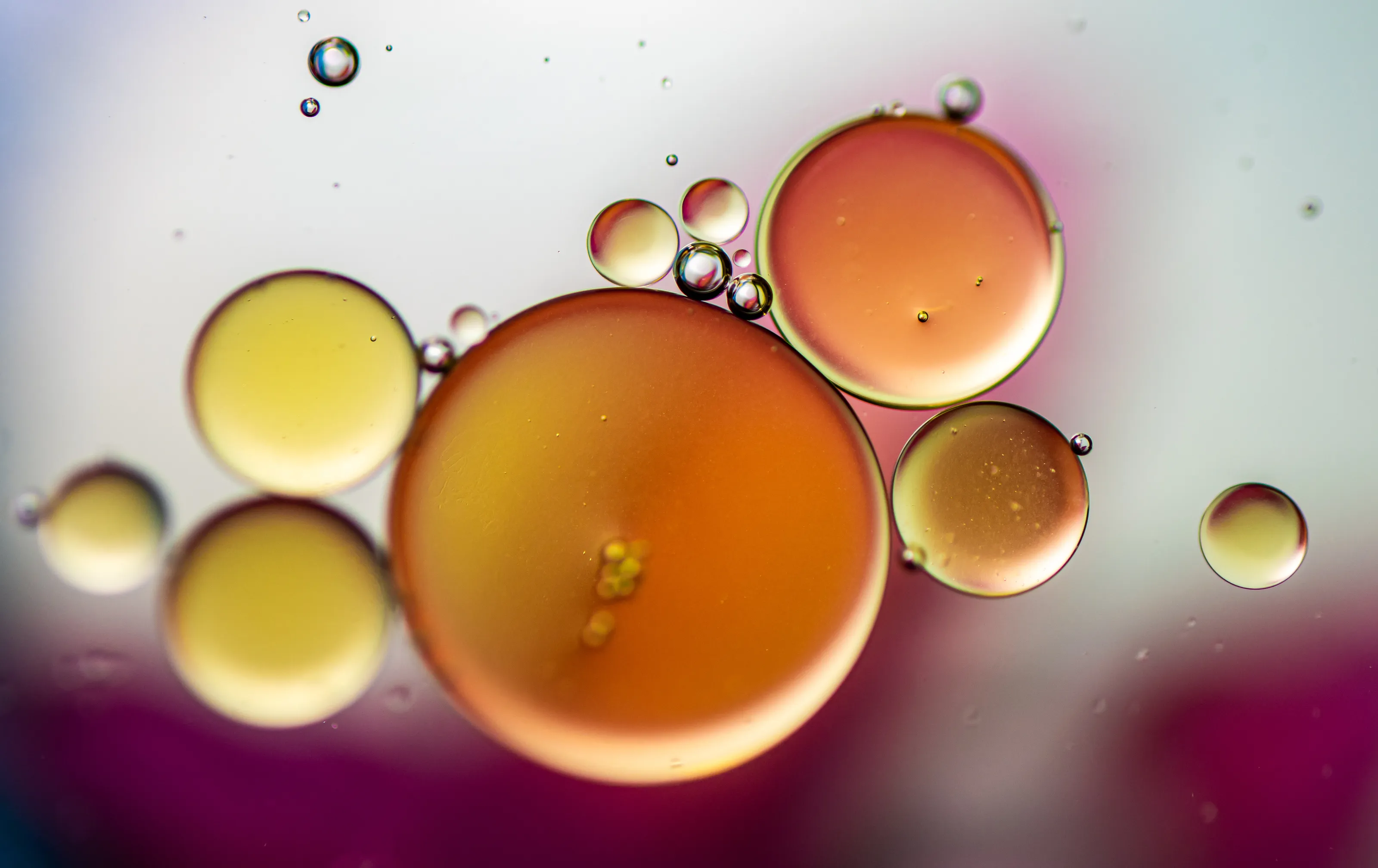 Oil and water droplets