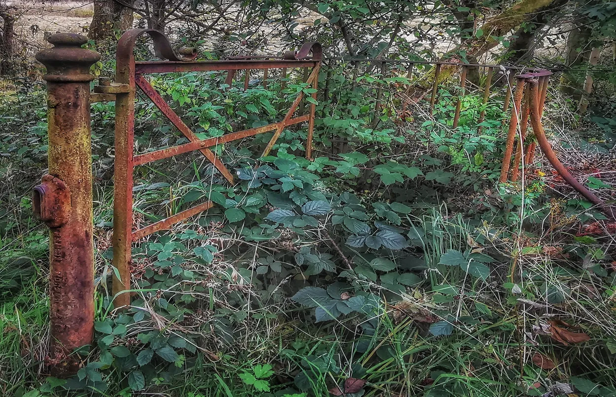 Entry 11058620