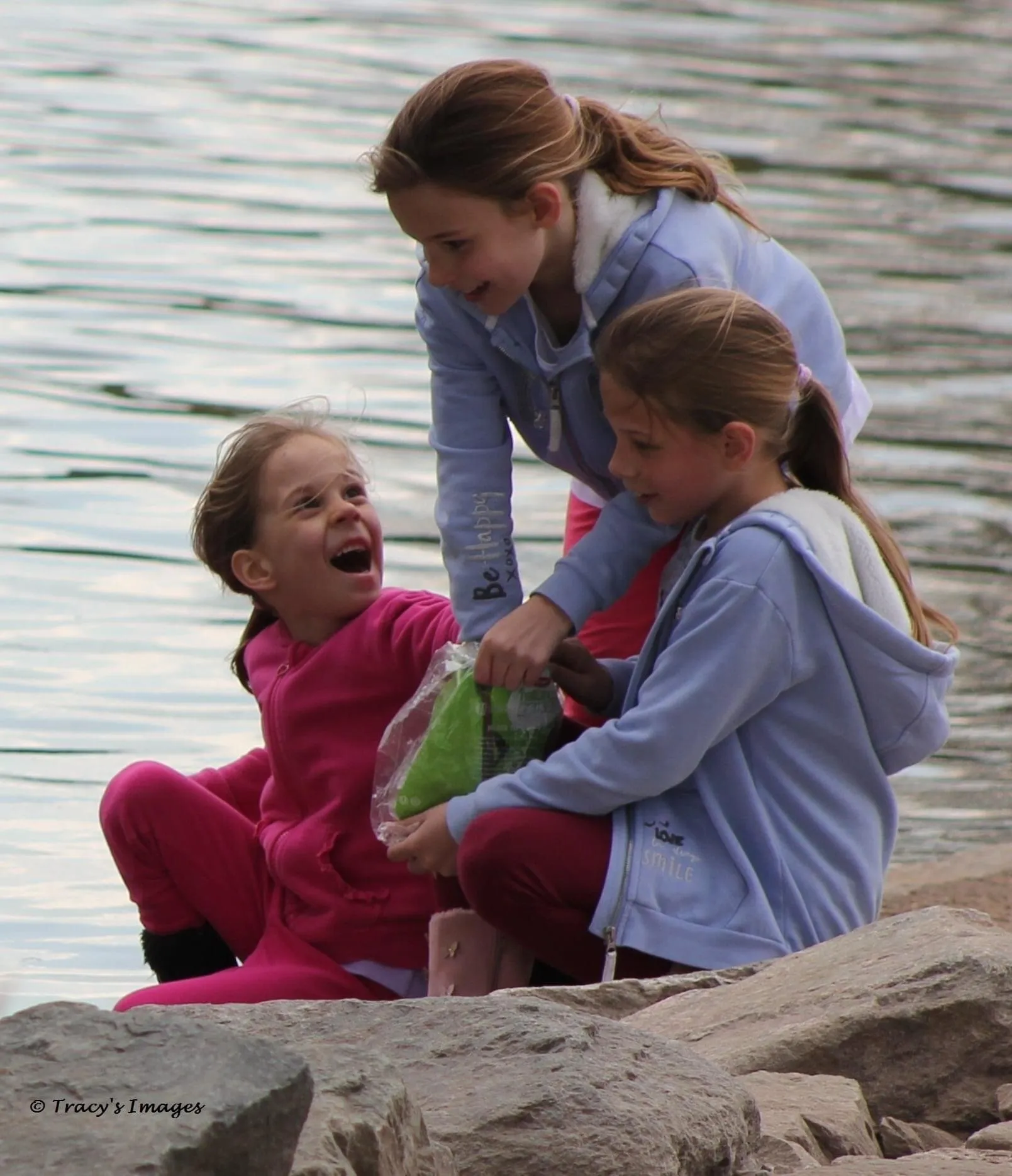 Children enjoying the Swans