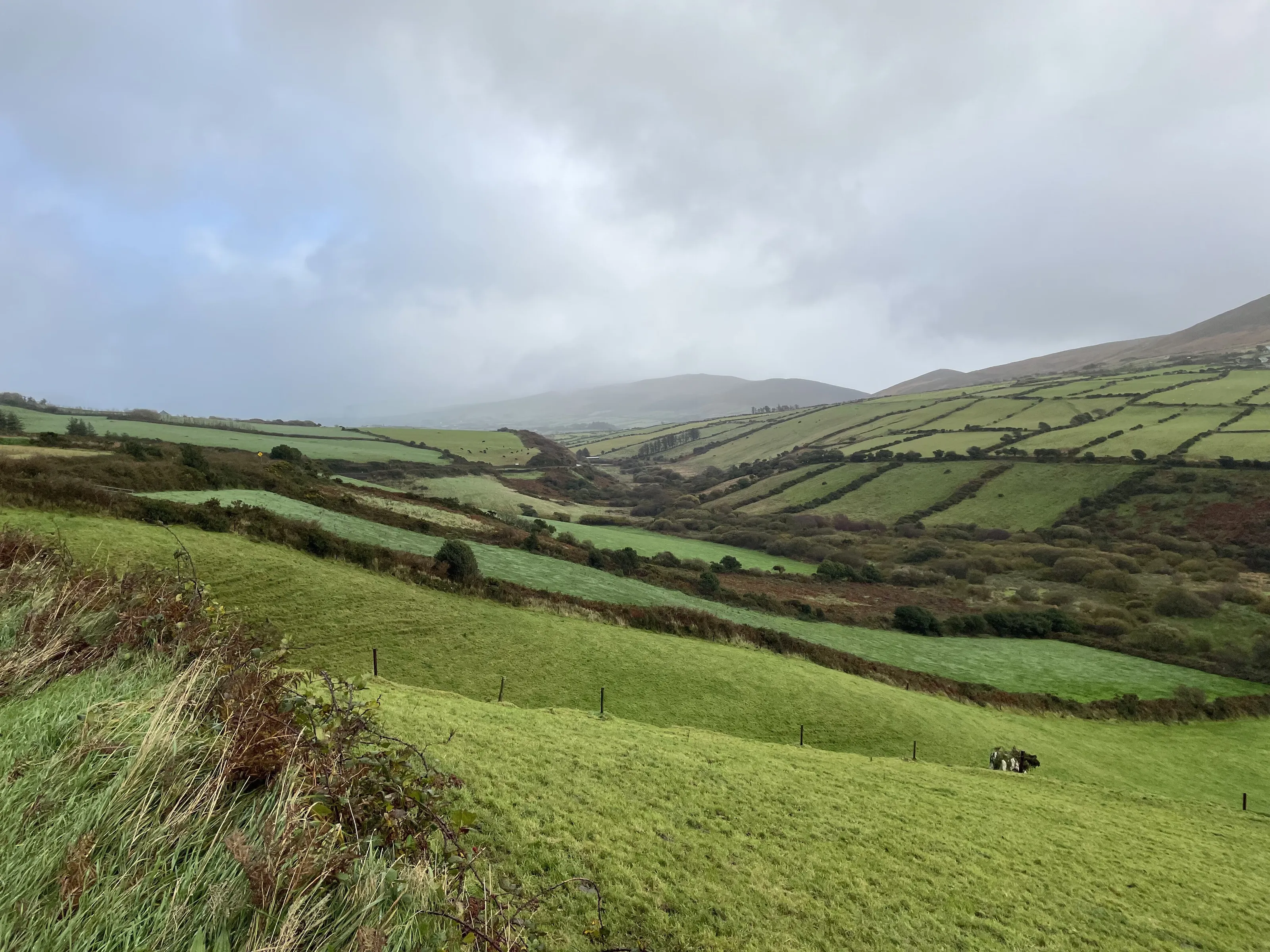 Dingle
