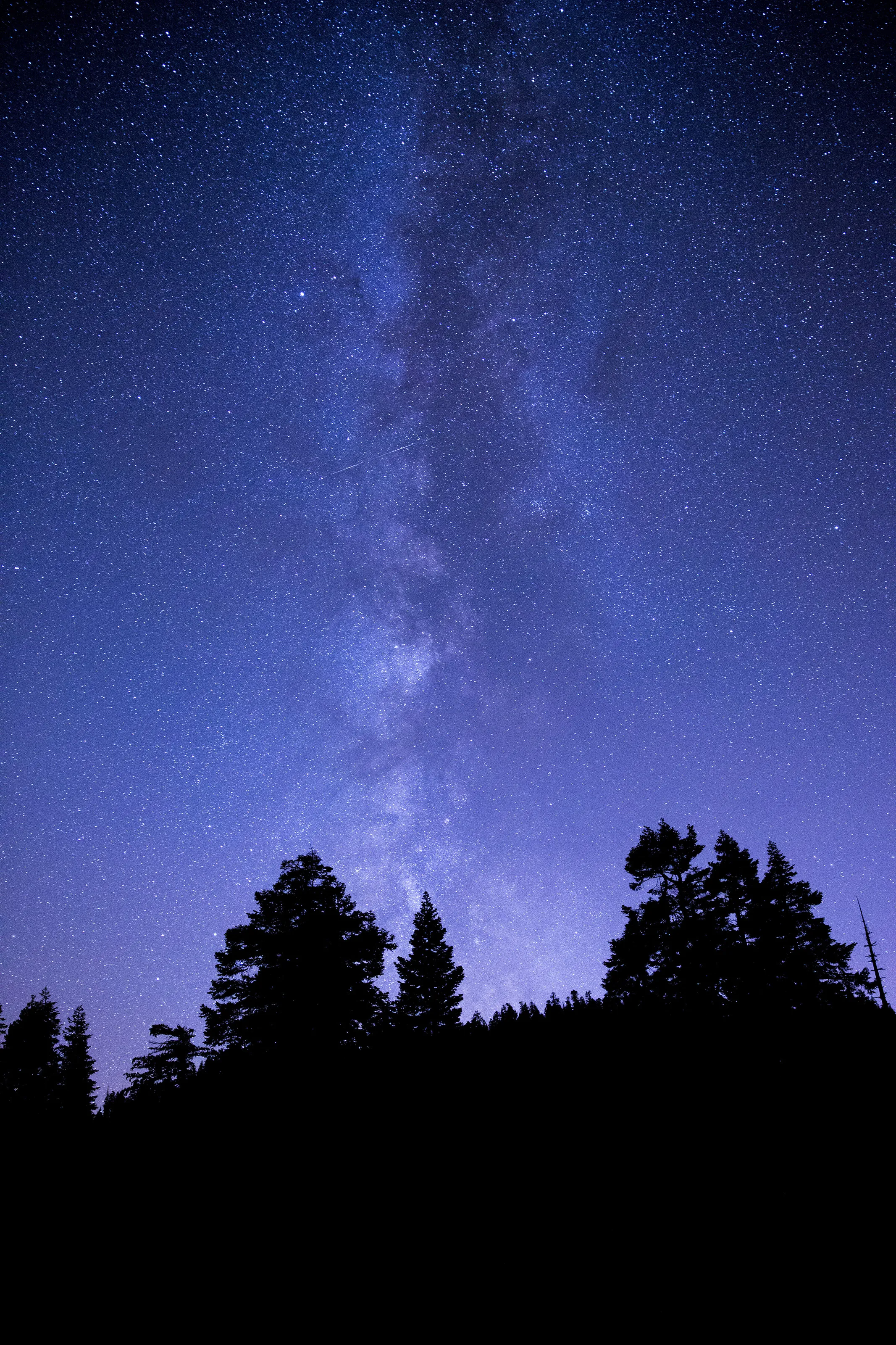 Starry Night