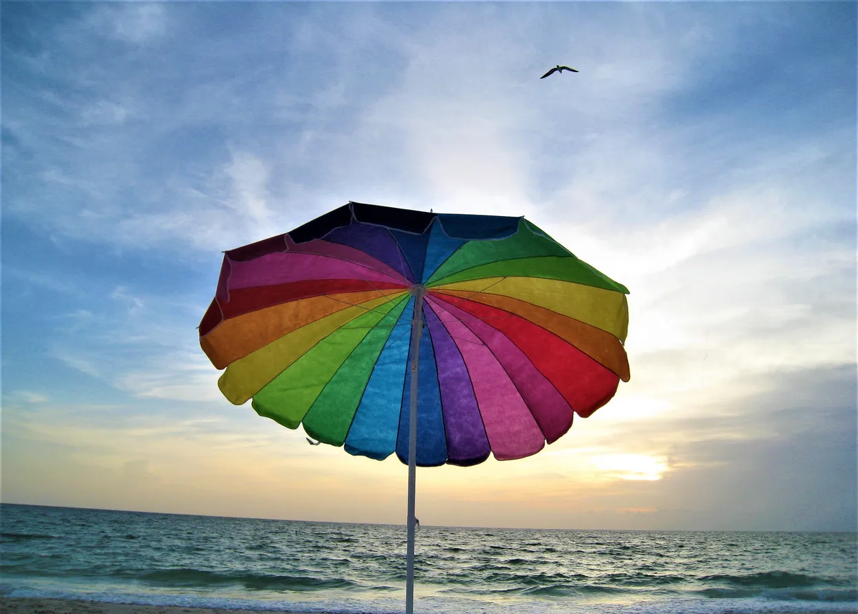 Entry 11087209
