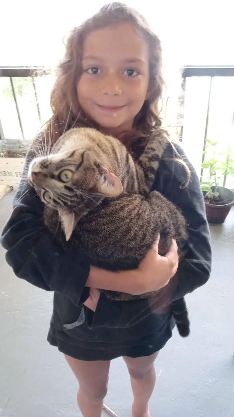Twisted Cat