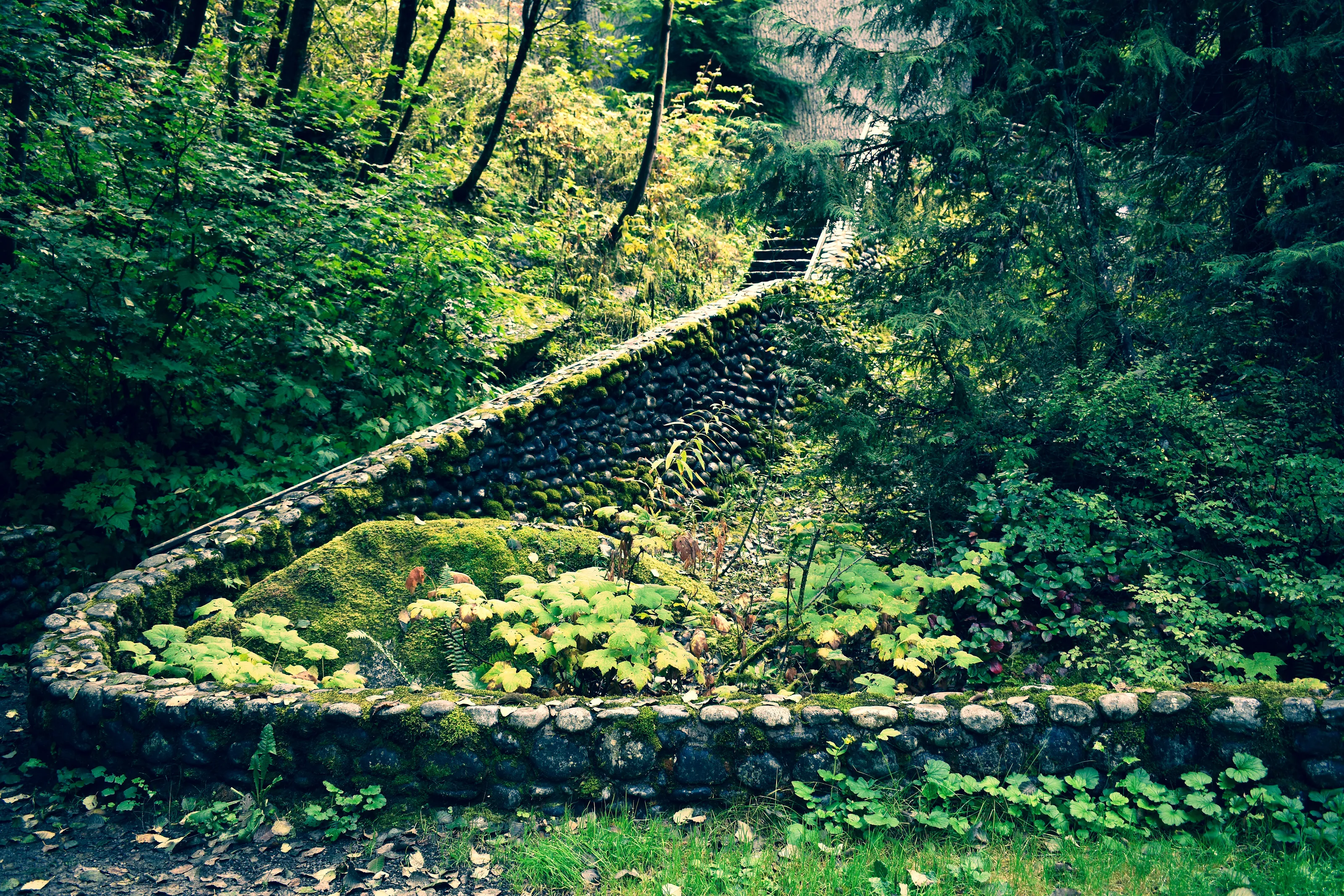Green Garden