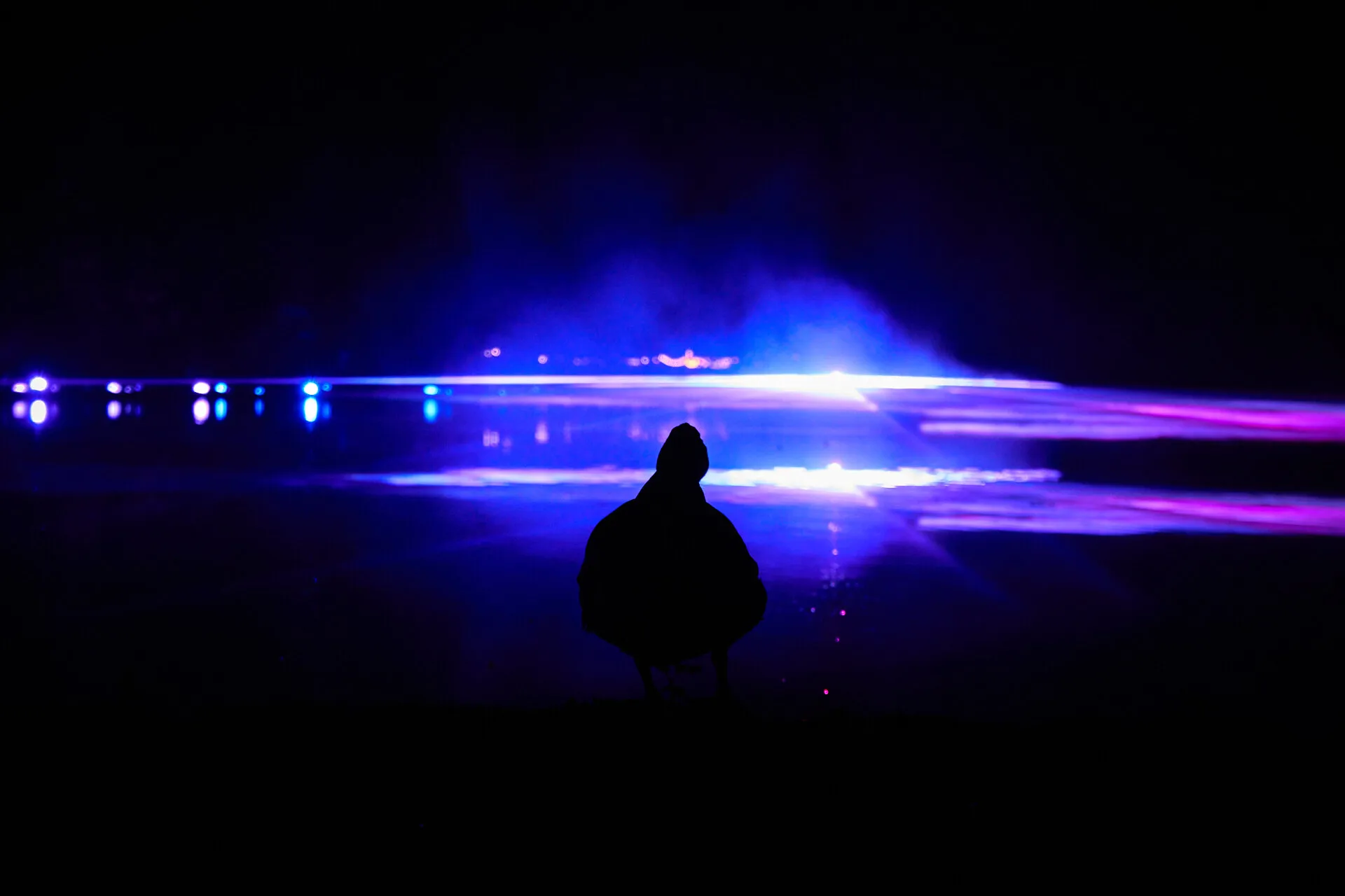 Lightshow Duck