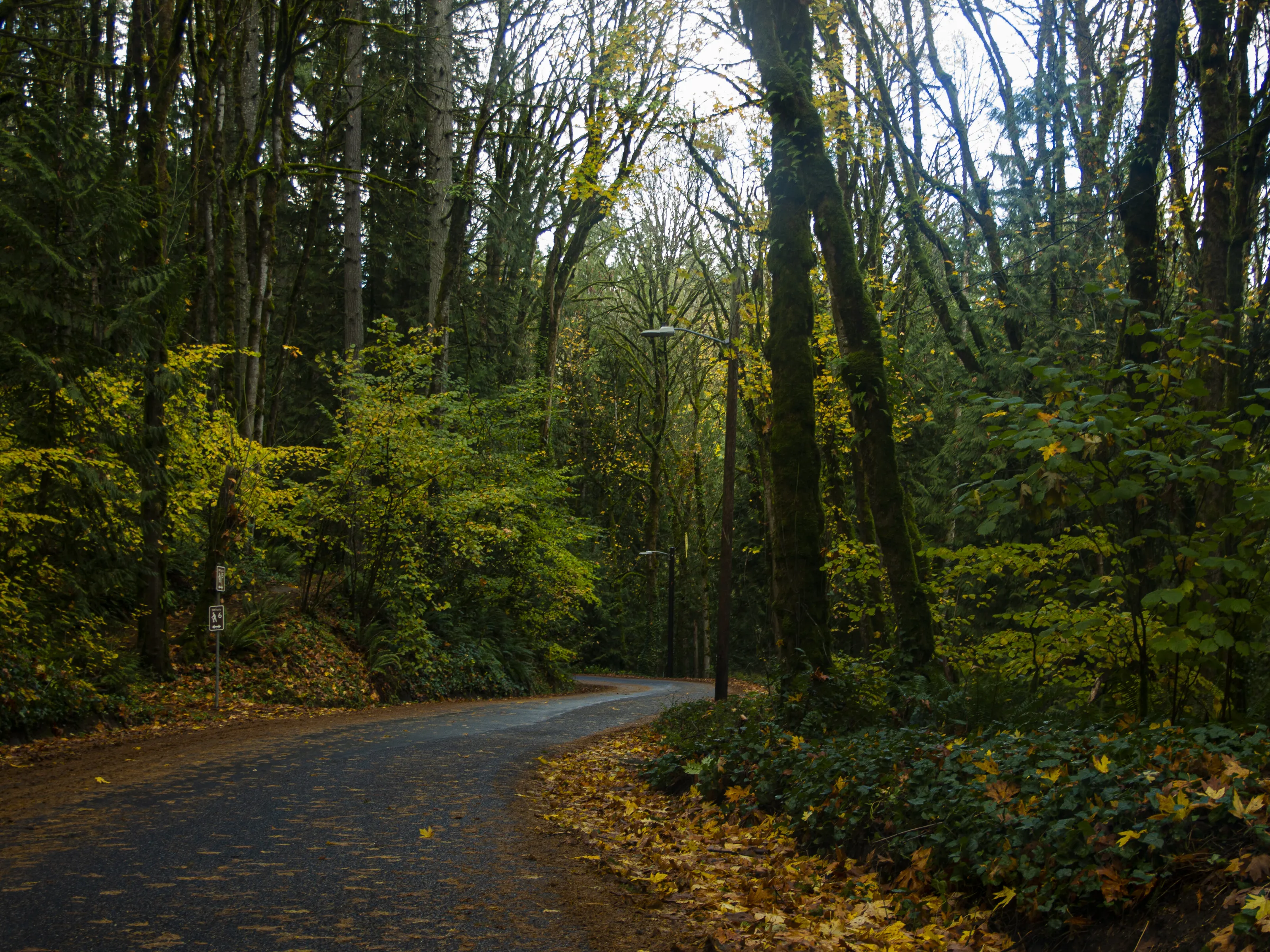 Maplecrest Drive, Portland, Oregon, USA