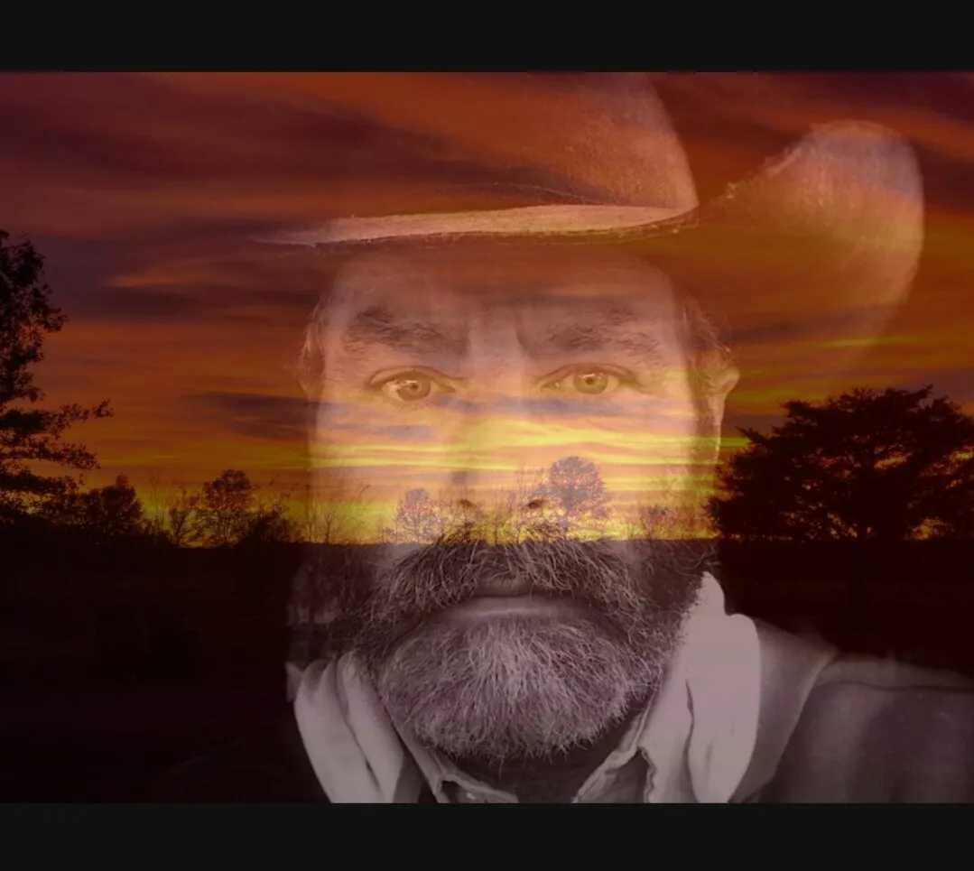 Banner image