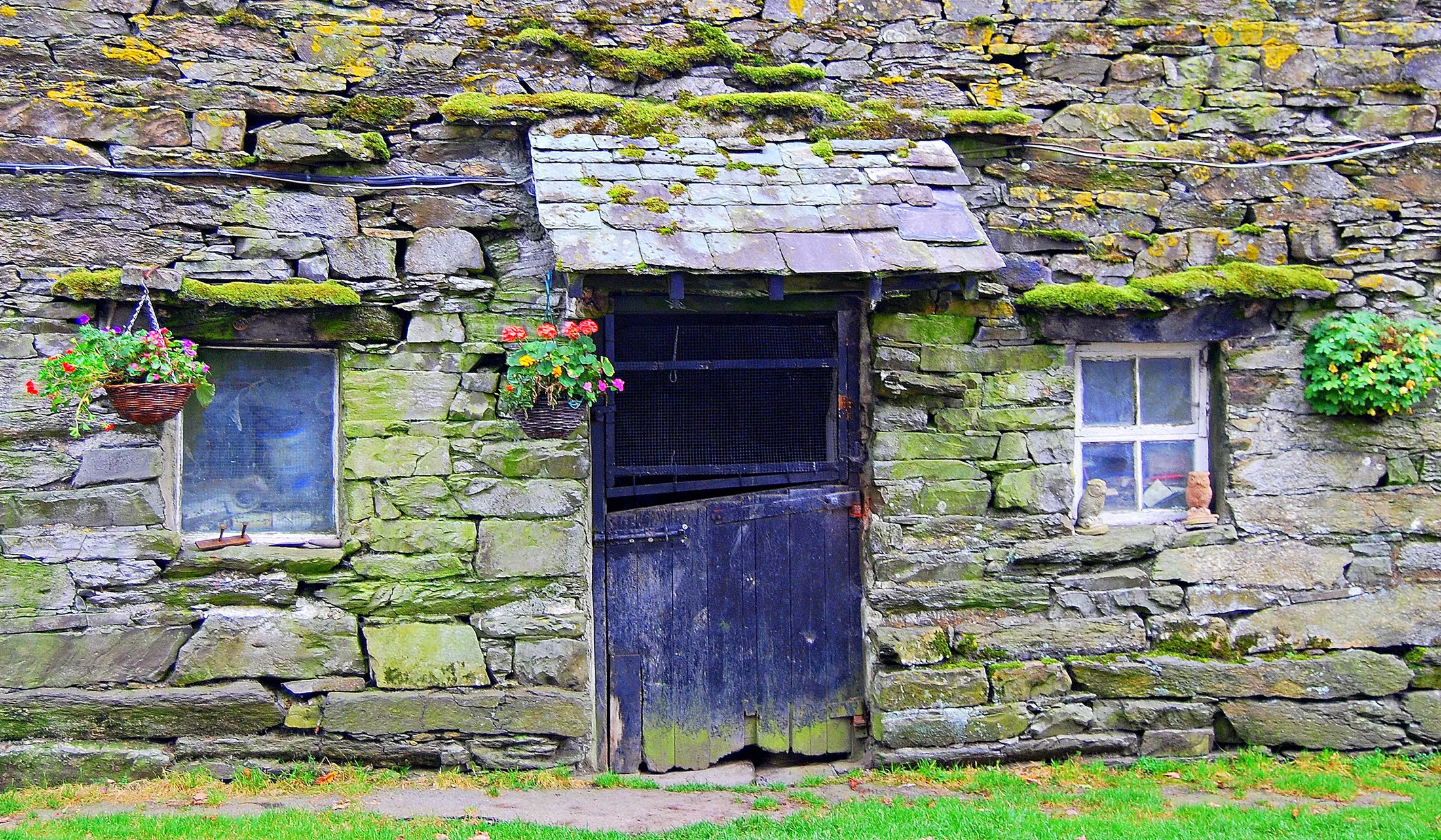 Entry 11102442