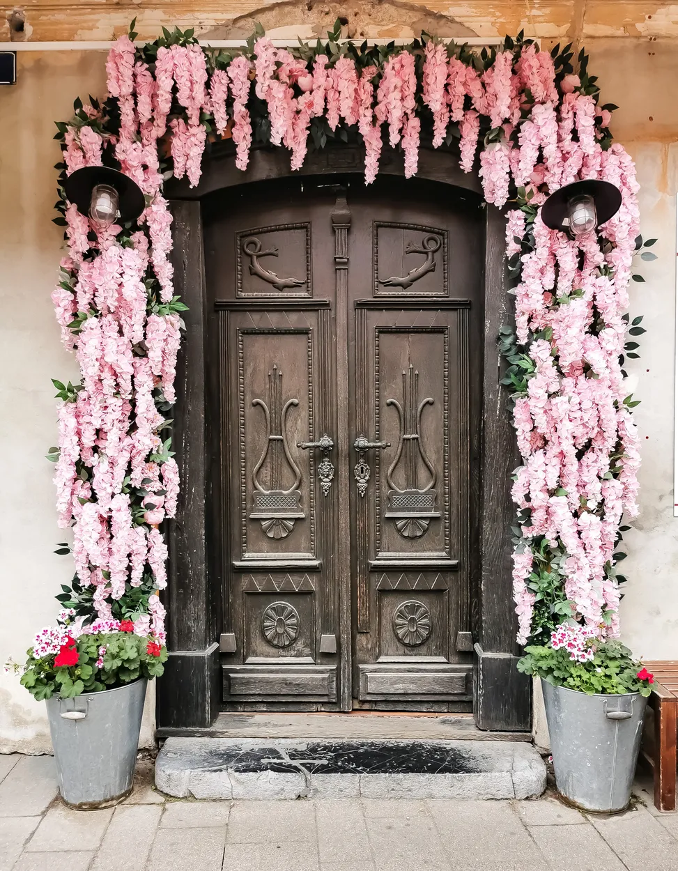 Entry 11102646
