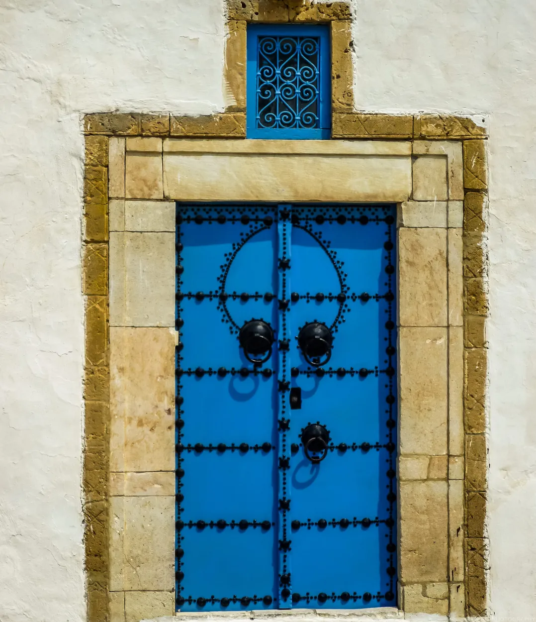 Entry 11105578