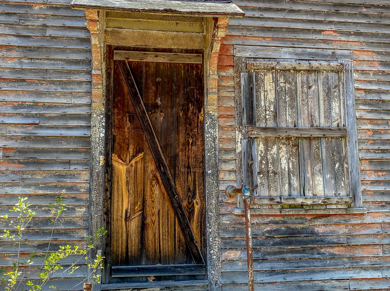 Entry 11231450