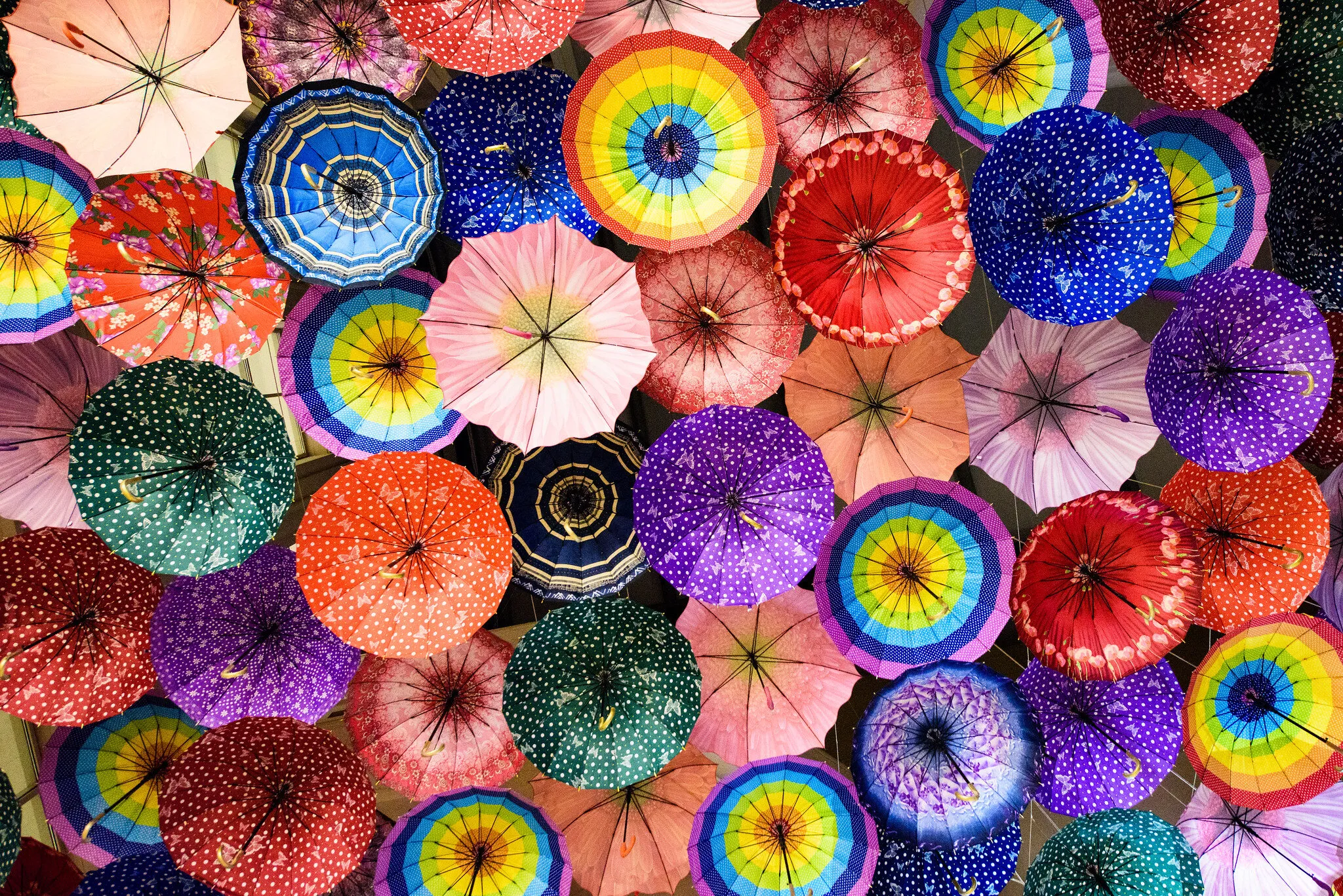 Umbrella