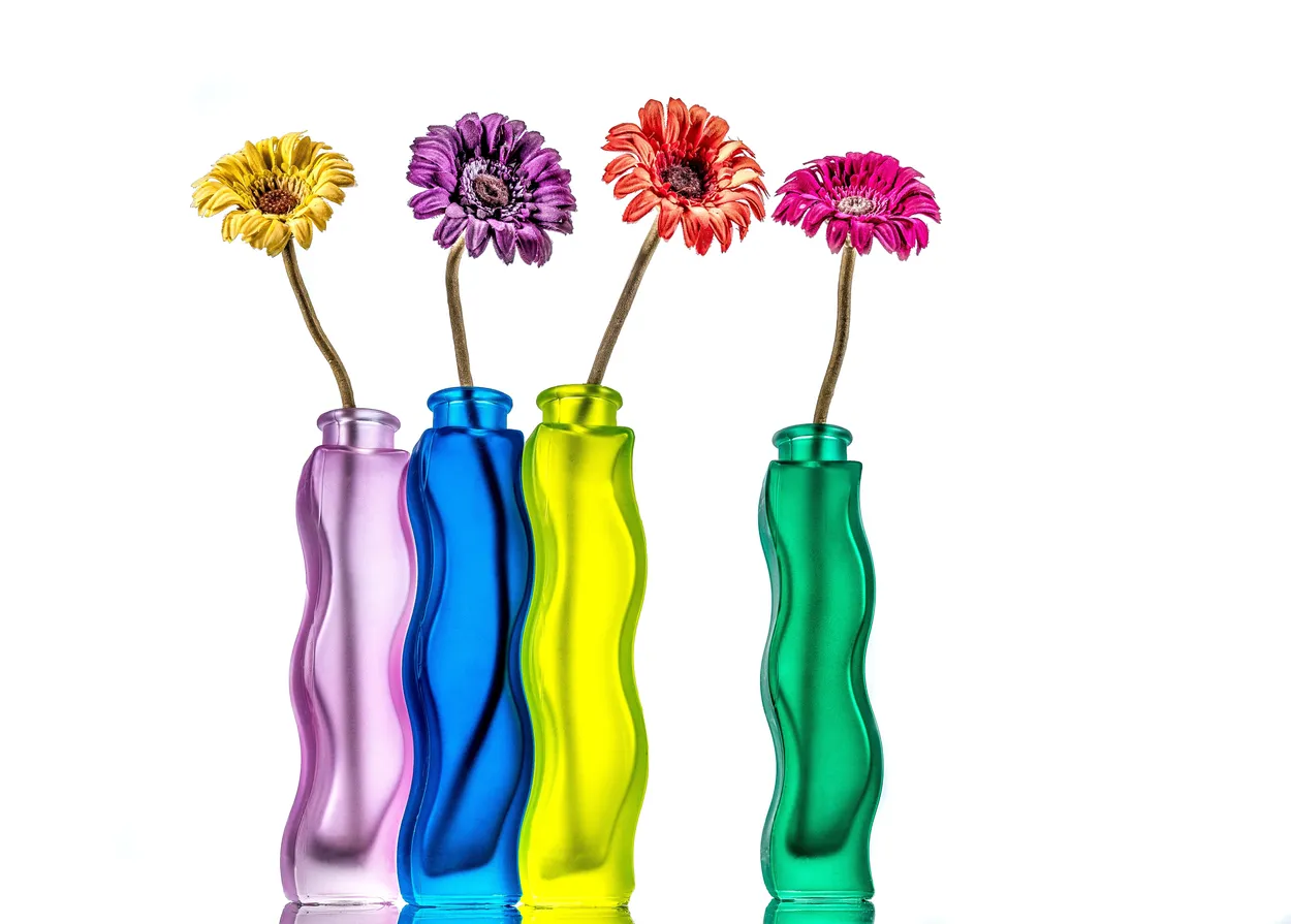 Entry 11113975