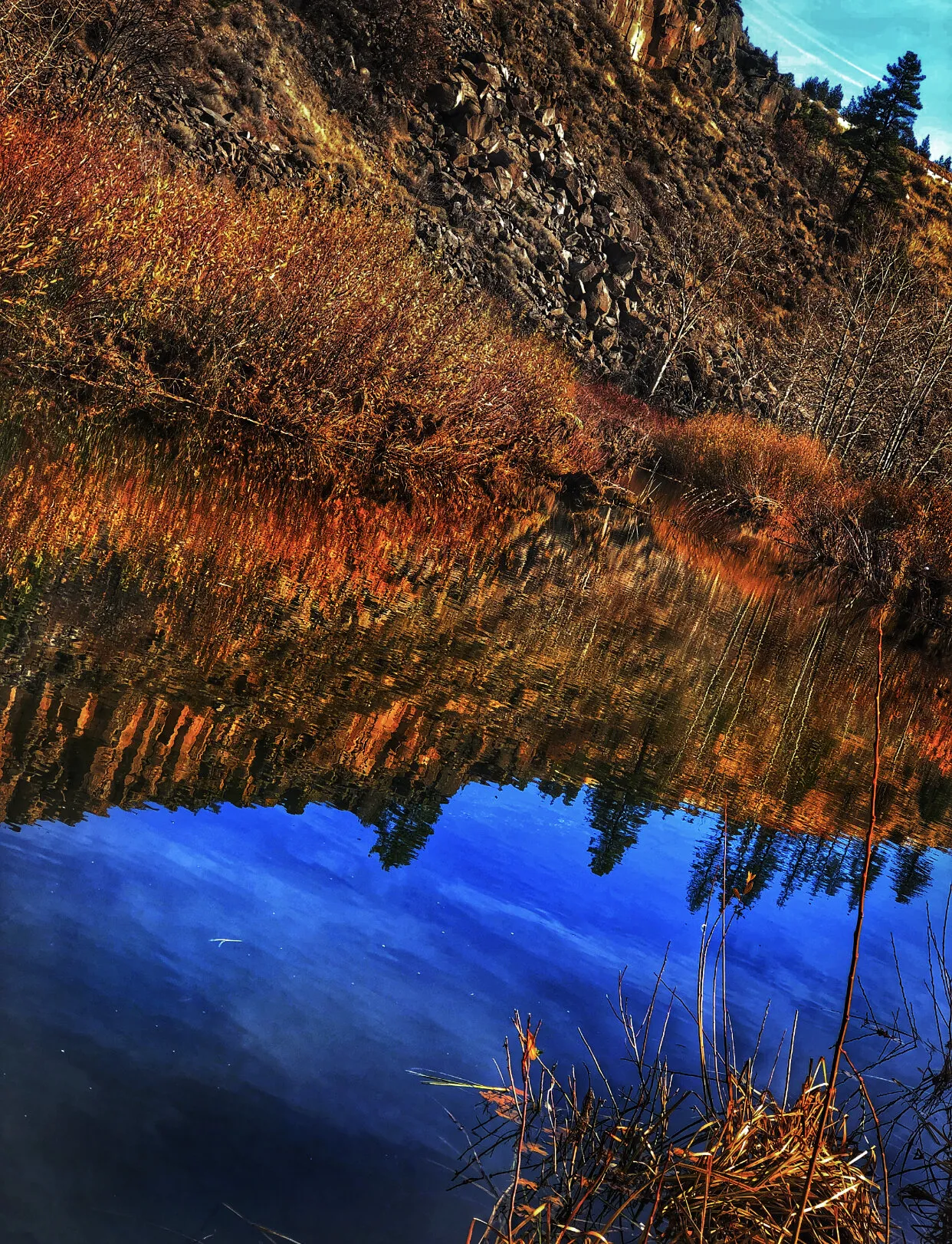 Reflection off of the river water