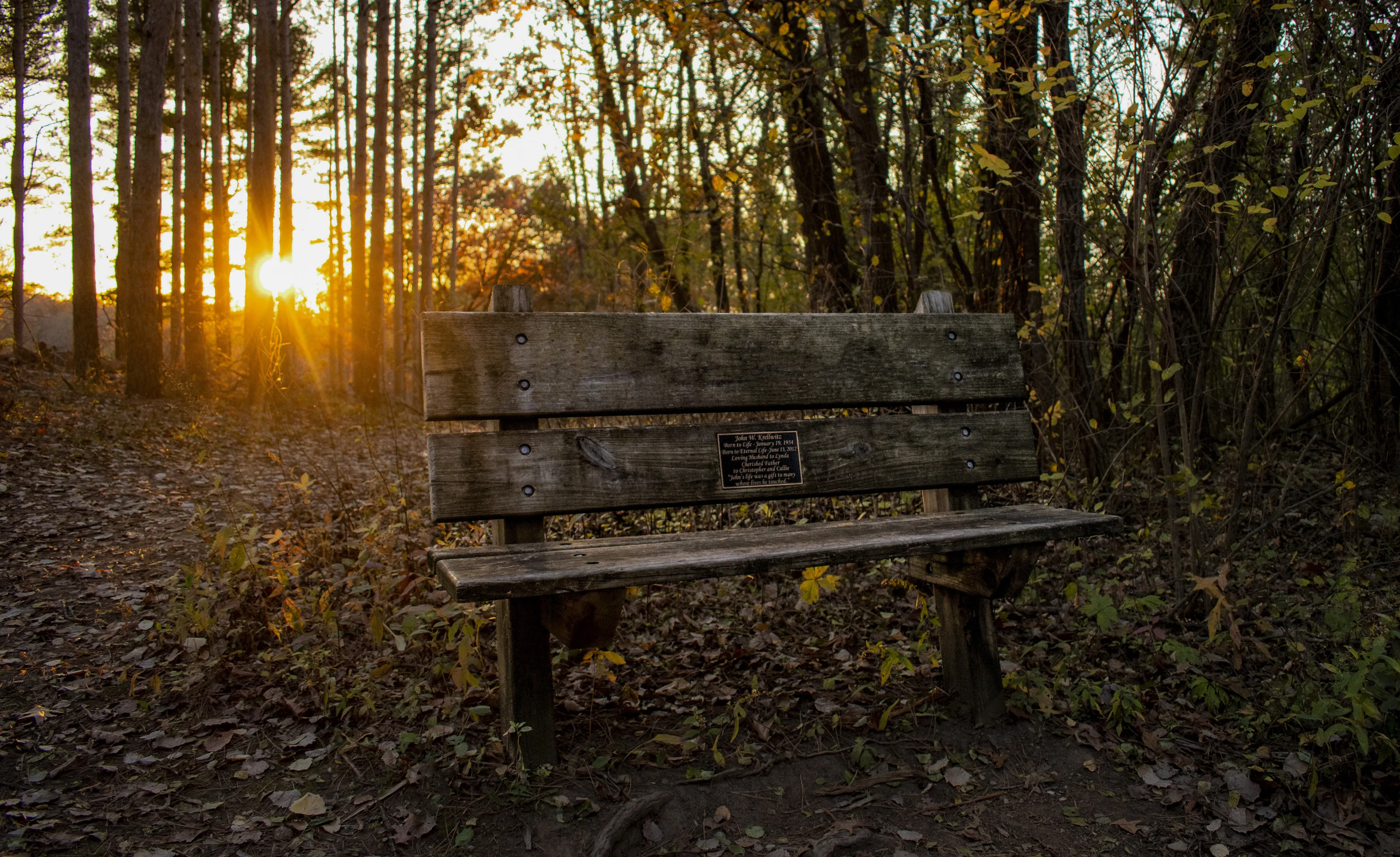 Have a Seat