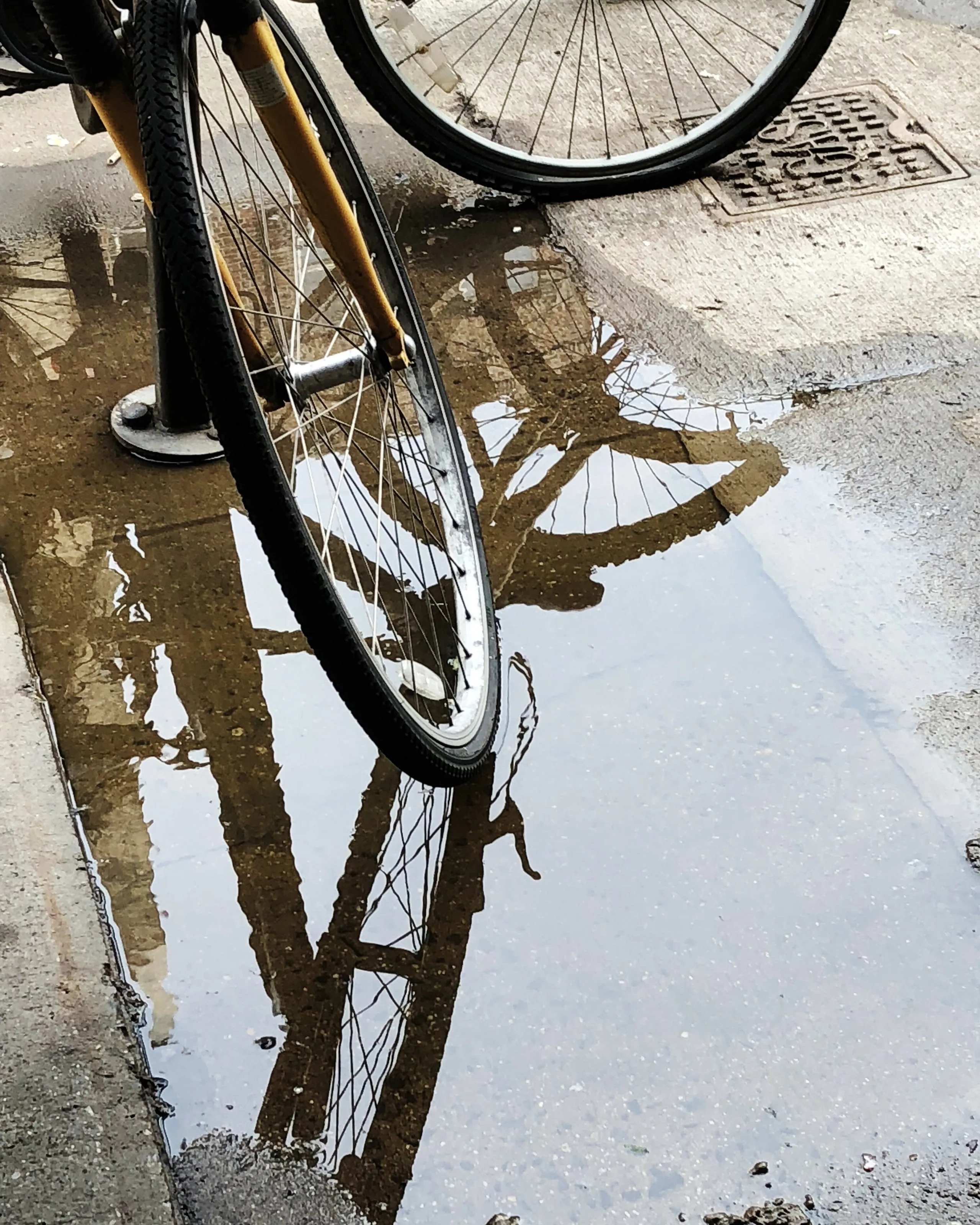 Distorted Reflection