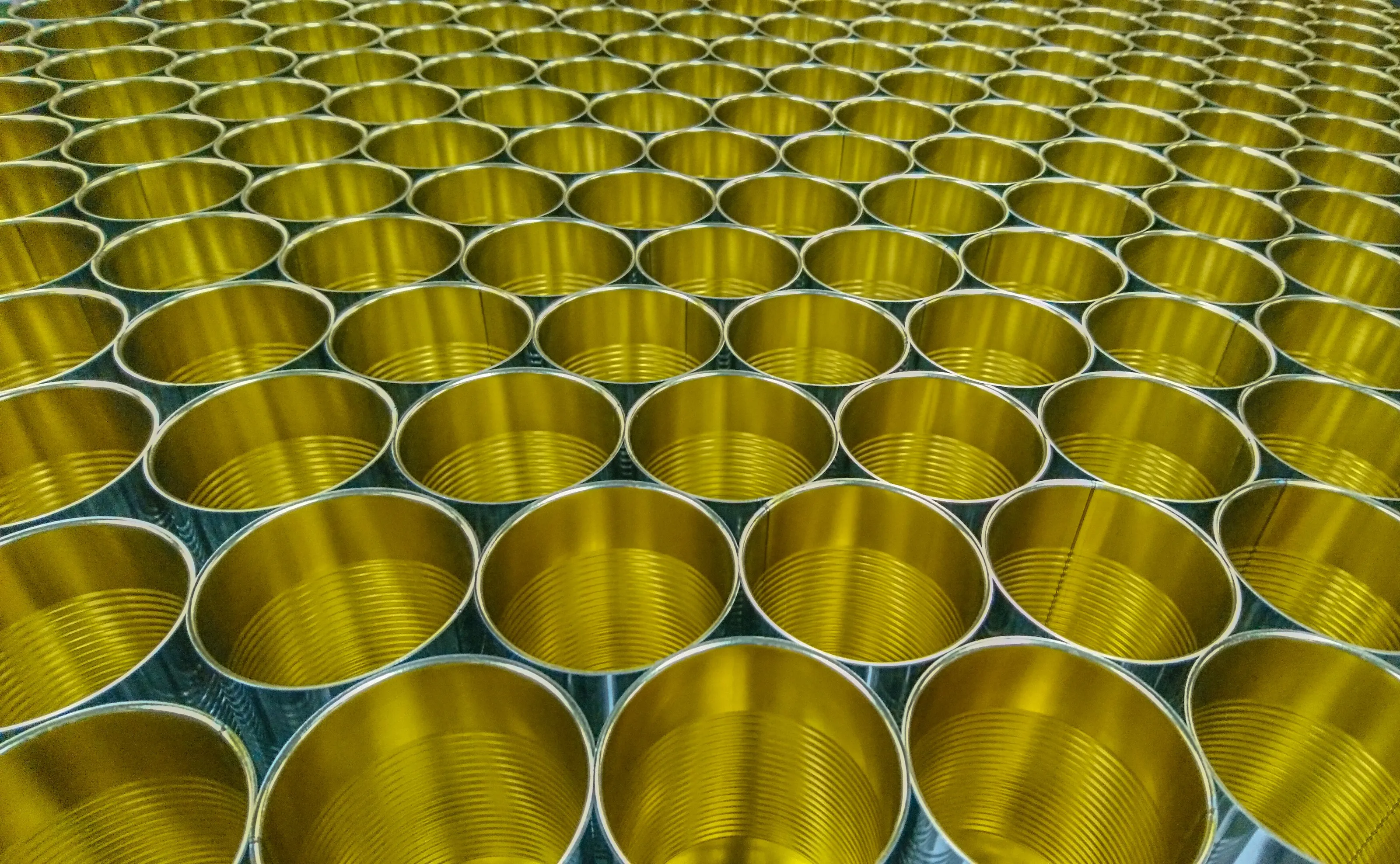 I don’t believe in cants I believe in Cans.