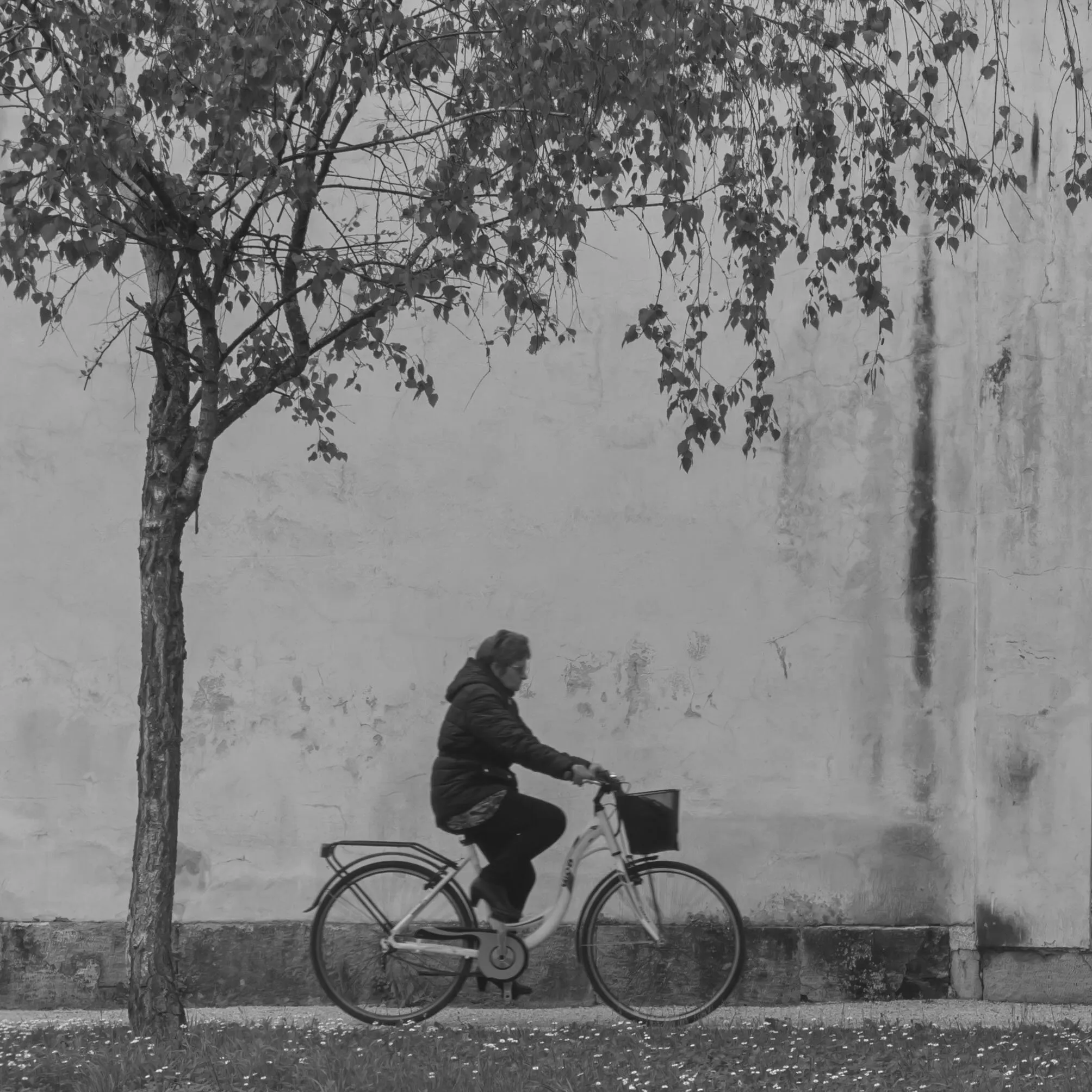 Street photography