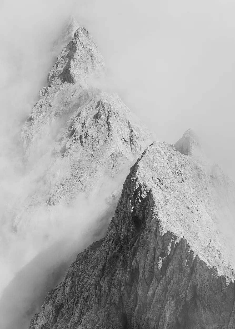 Entry 19106083