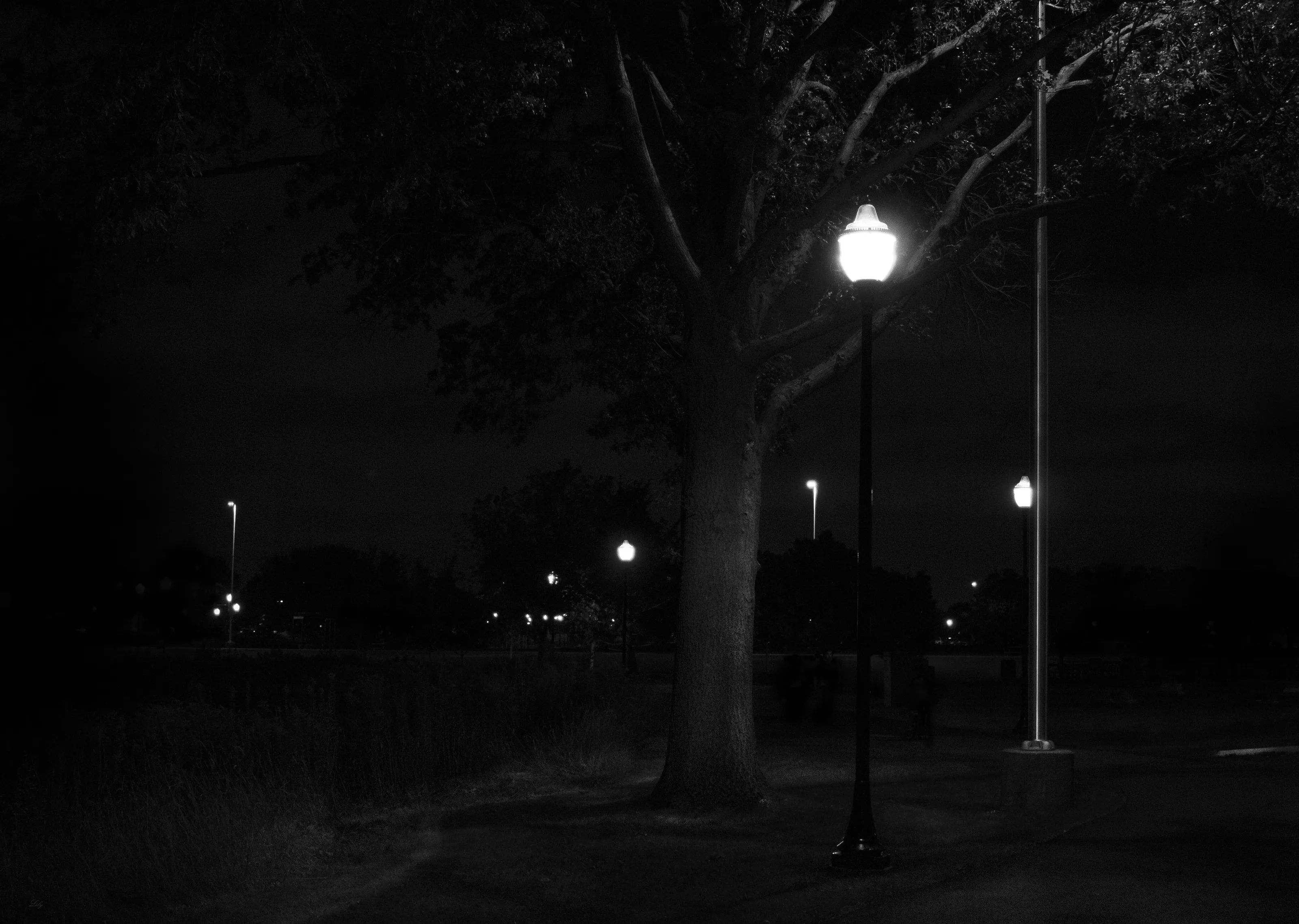 Night Park