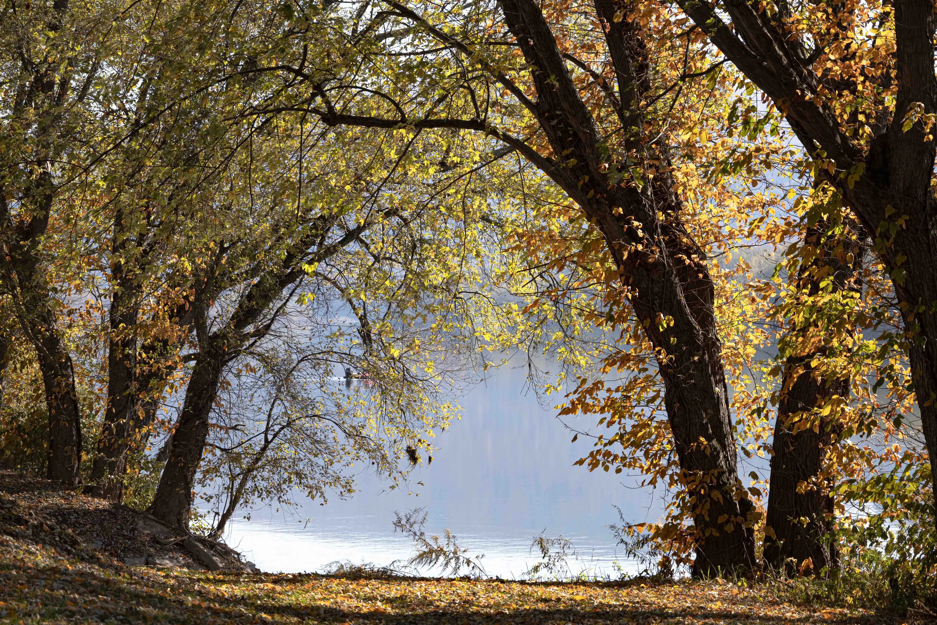 A look into the Susquehanna River