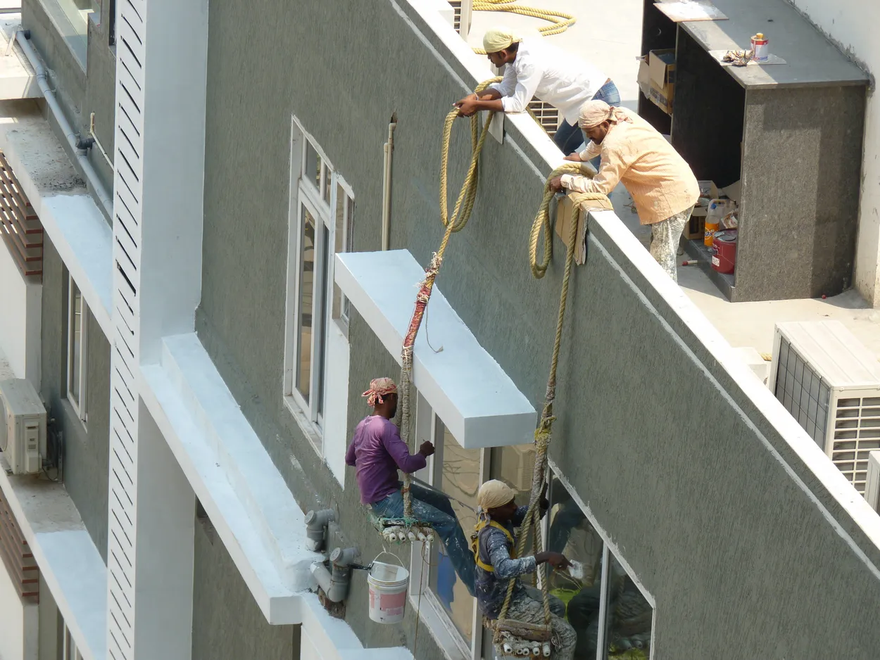 Entry 14786455