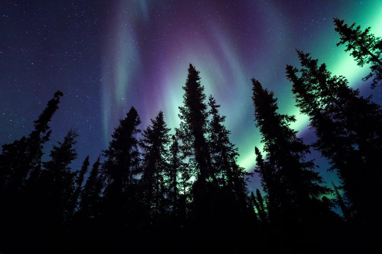 Entry 2825826
