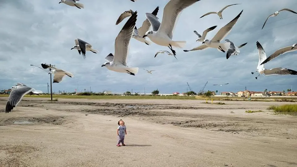 Corpus Christy, Texas family Beach day