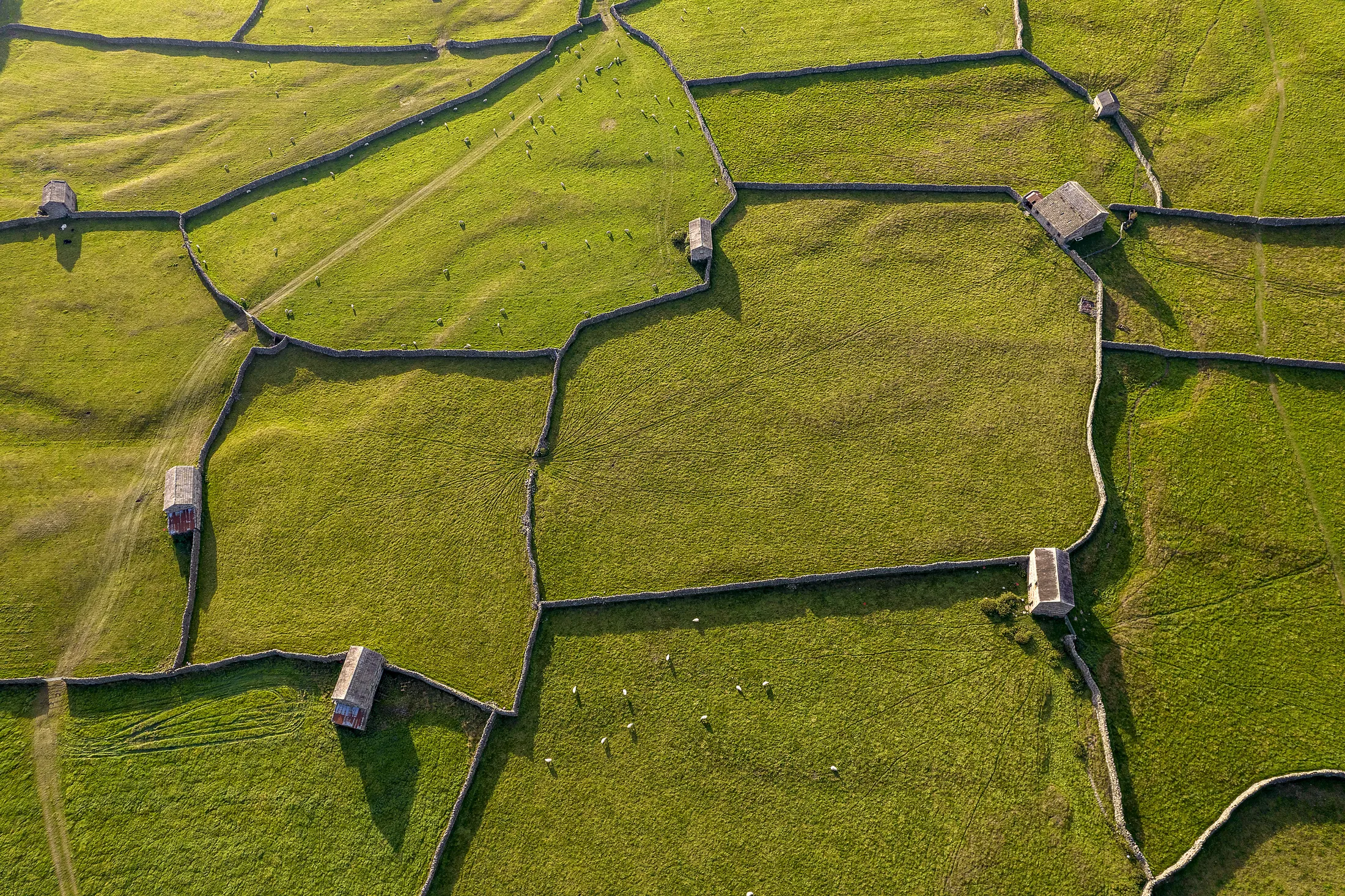 Barns and Walls