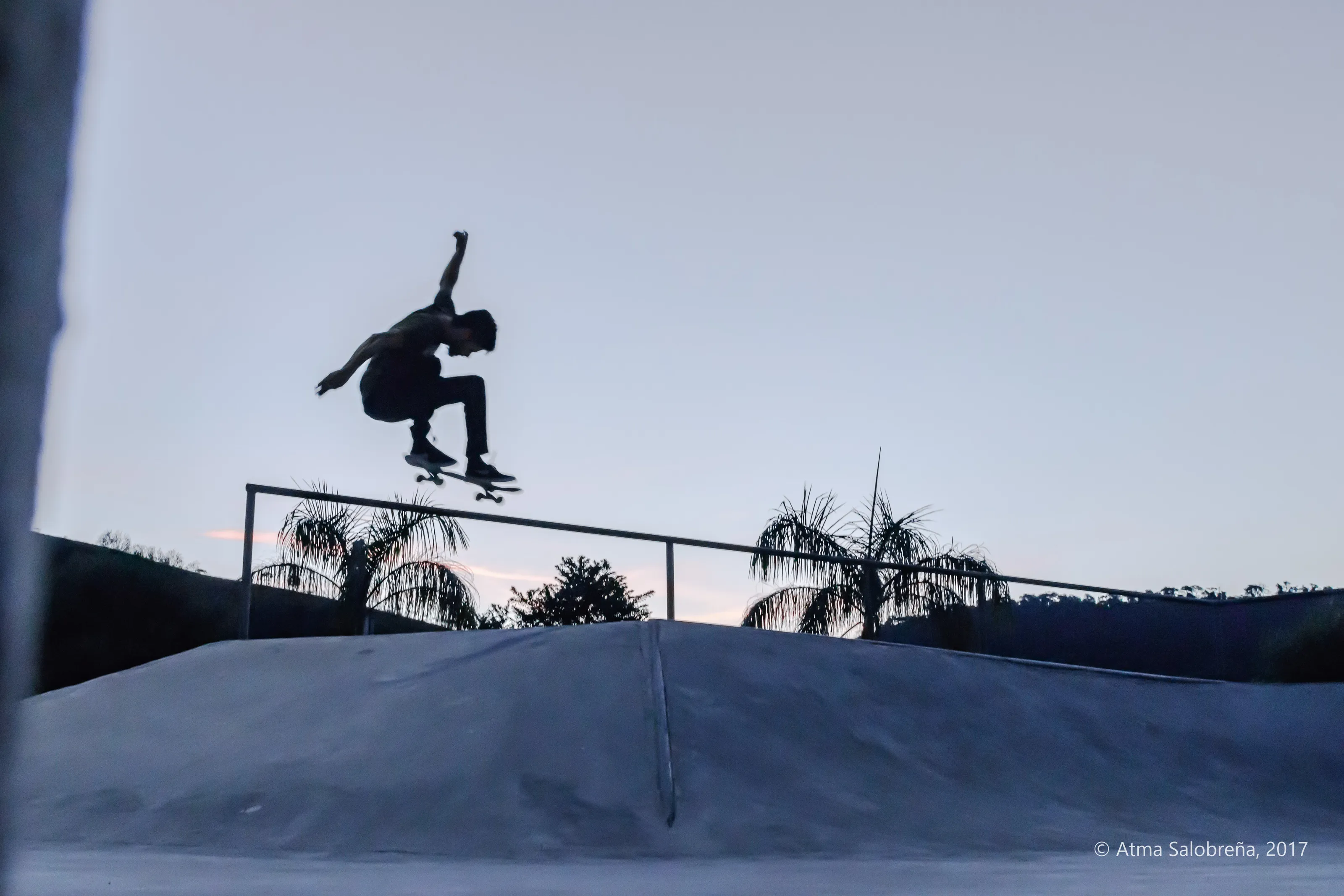 Ollie at dawn