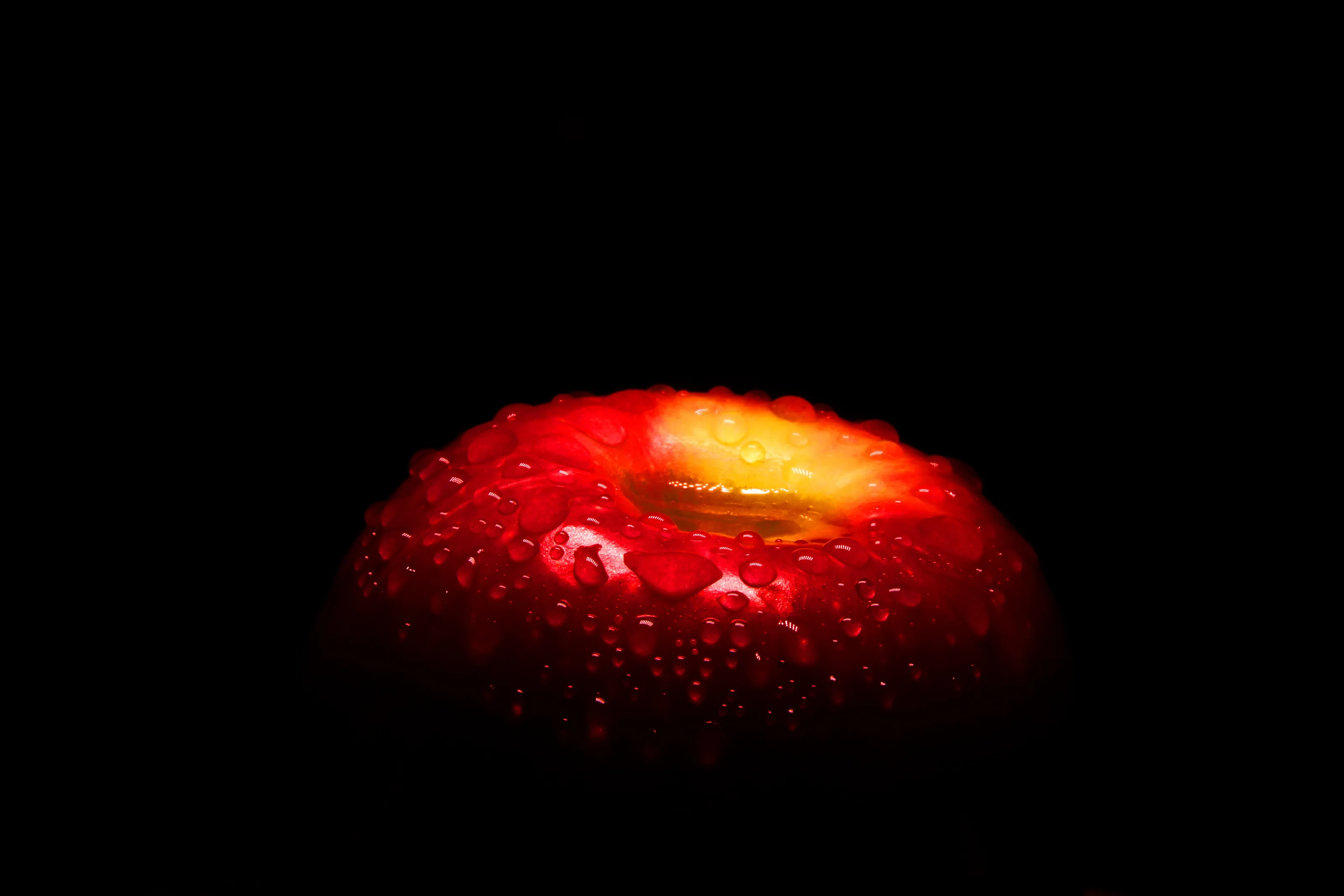 Apple Drops