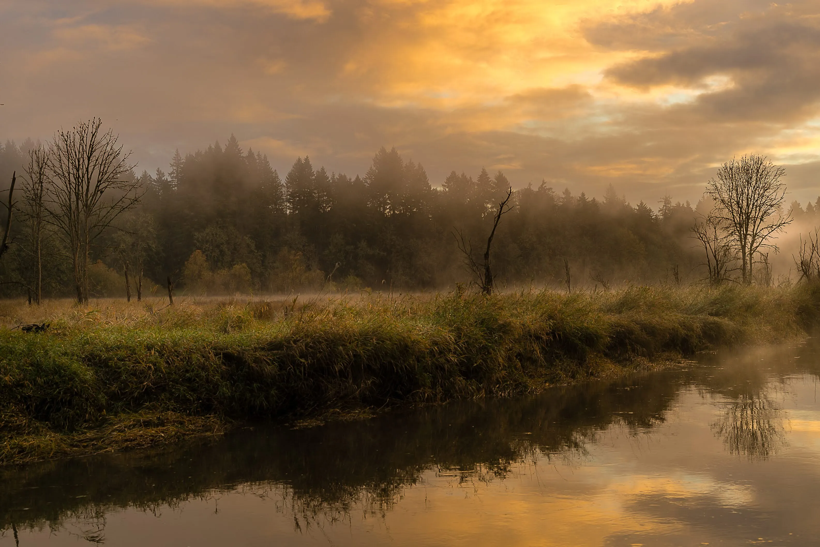 Sunrise on the creek