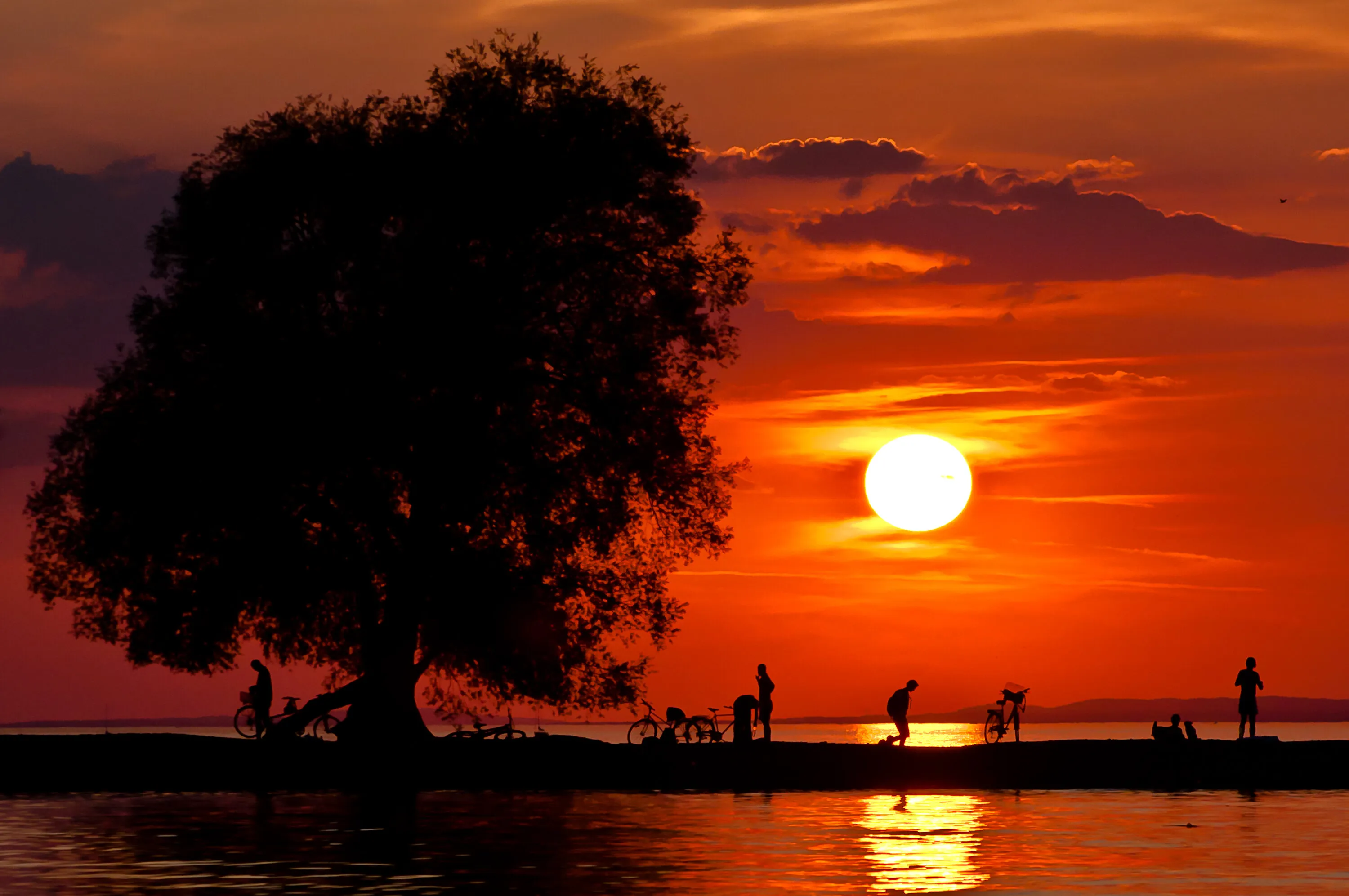 Silhouettes of summer.