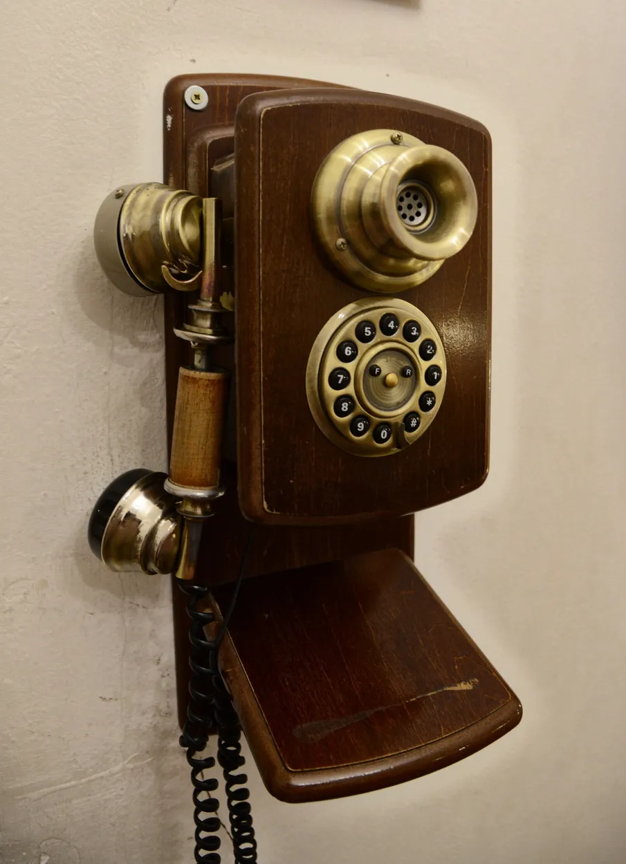 Entry 11234619