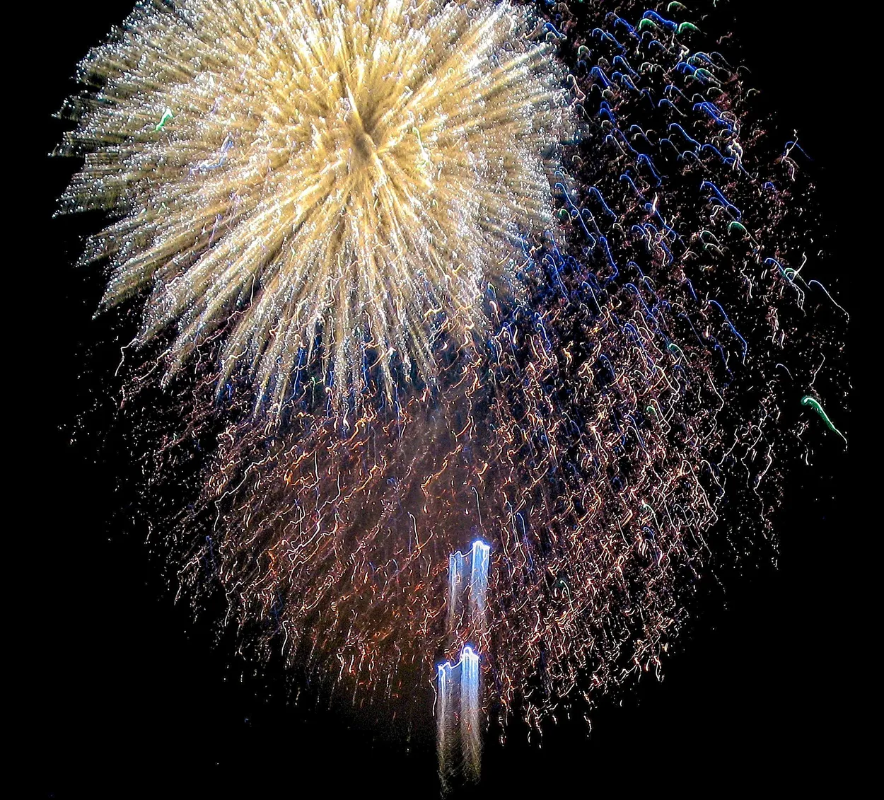 Entry 18311298