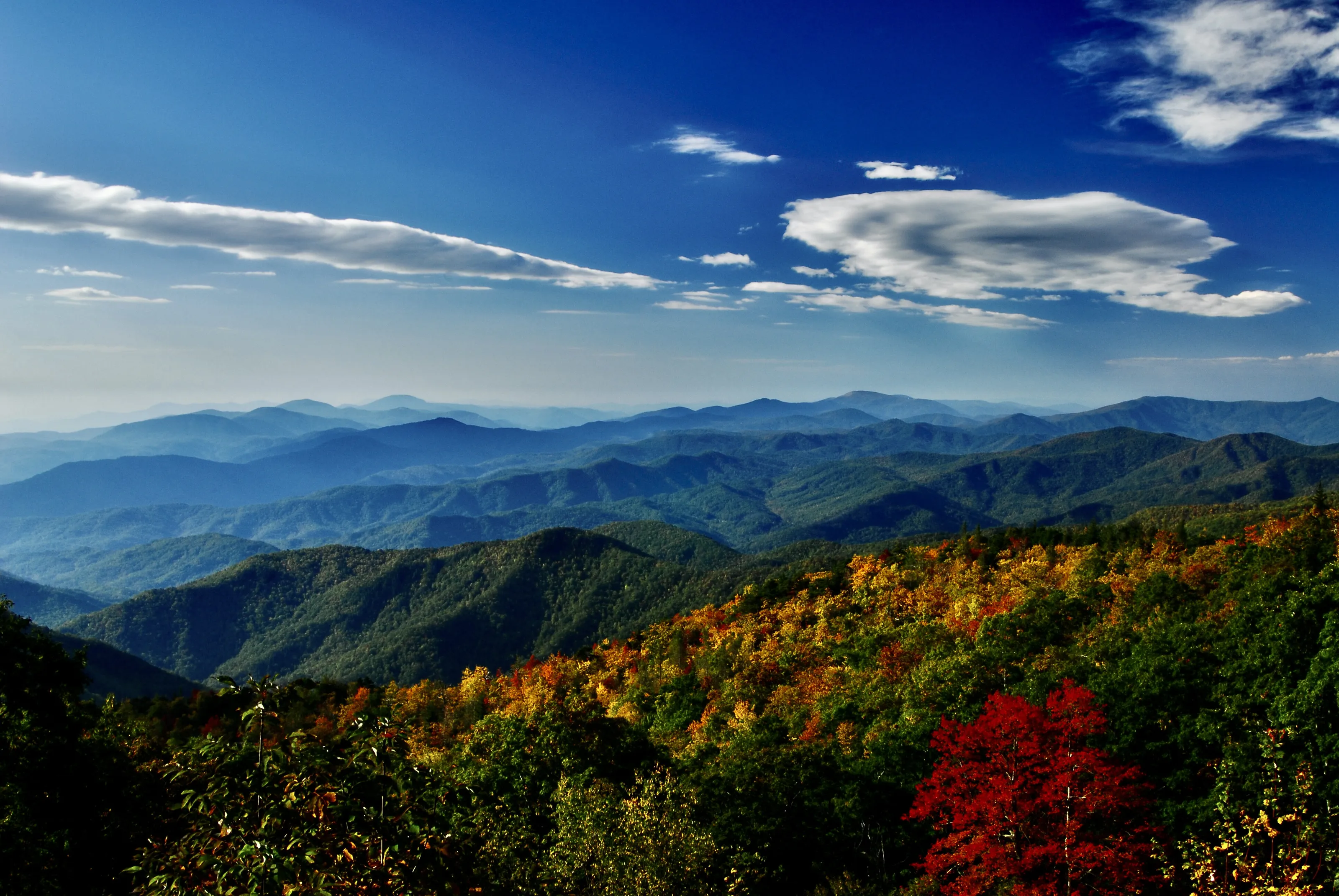 "Beauty as far as the eye can see"