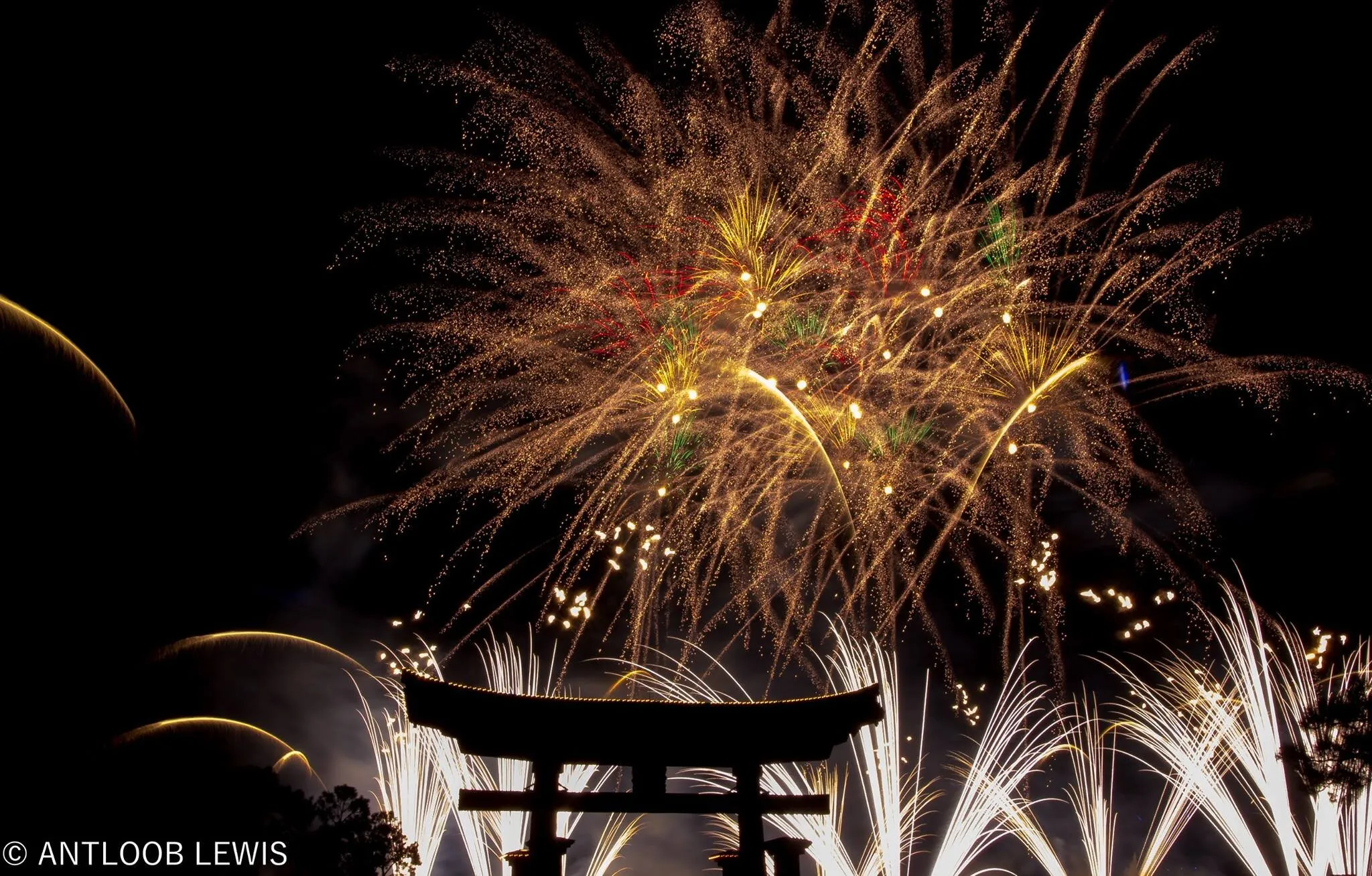 EPCOT FIREWORKS