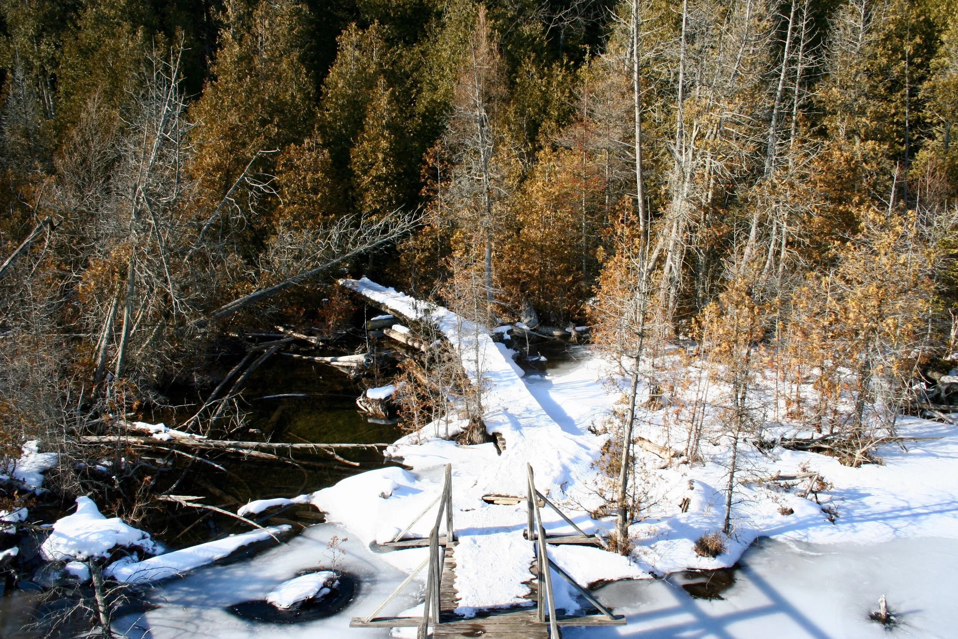 Mystery Bridge