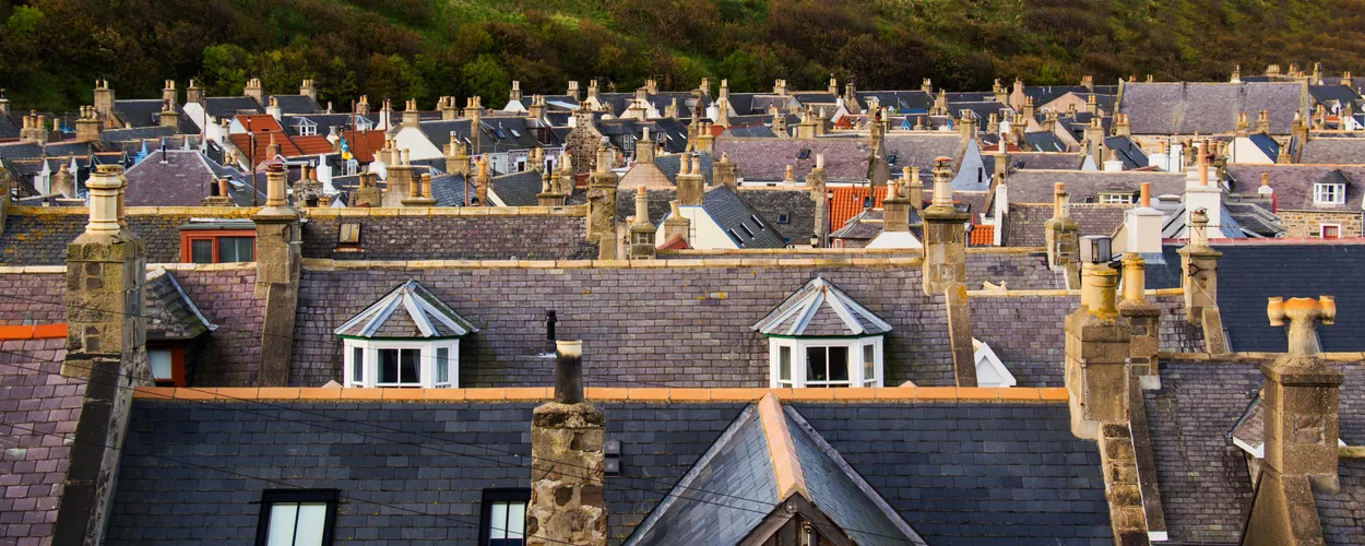 Entry 11847920