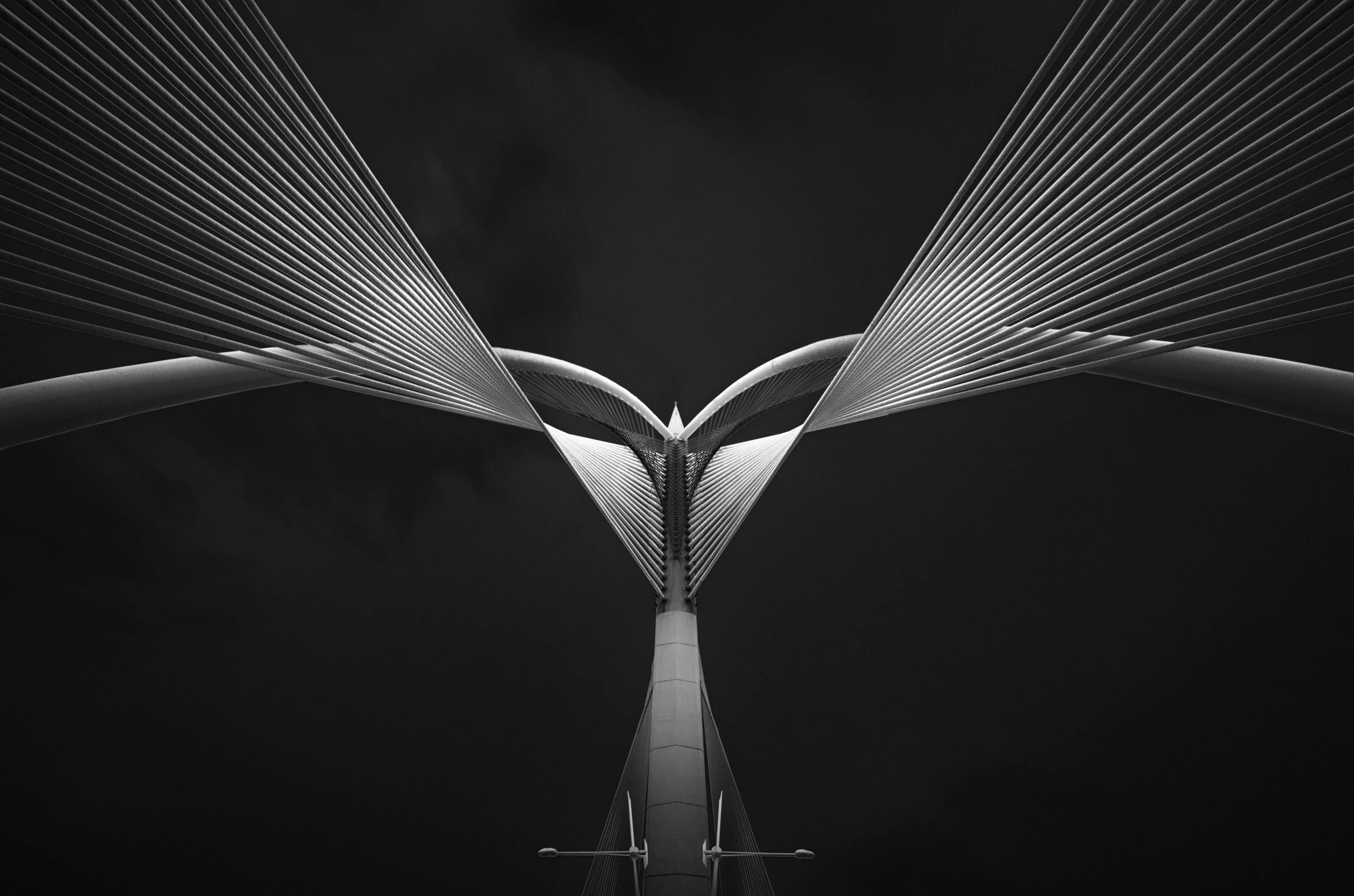 Flying Phoenix