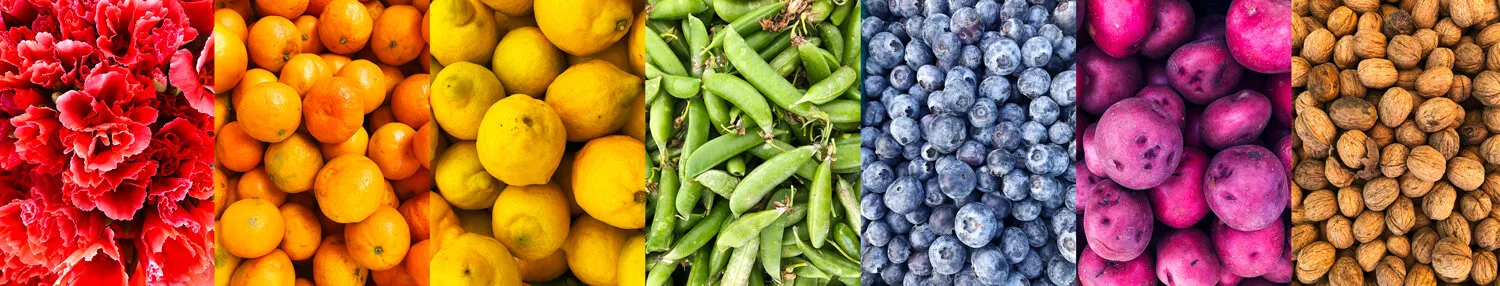 Farmer's Market Colors