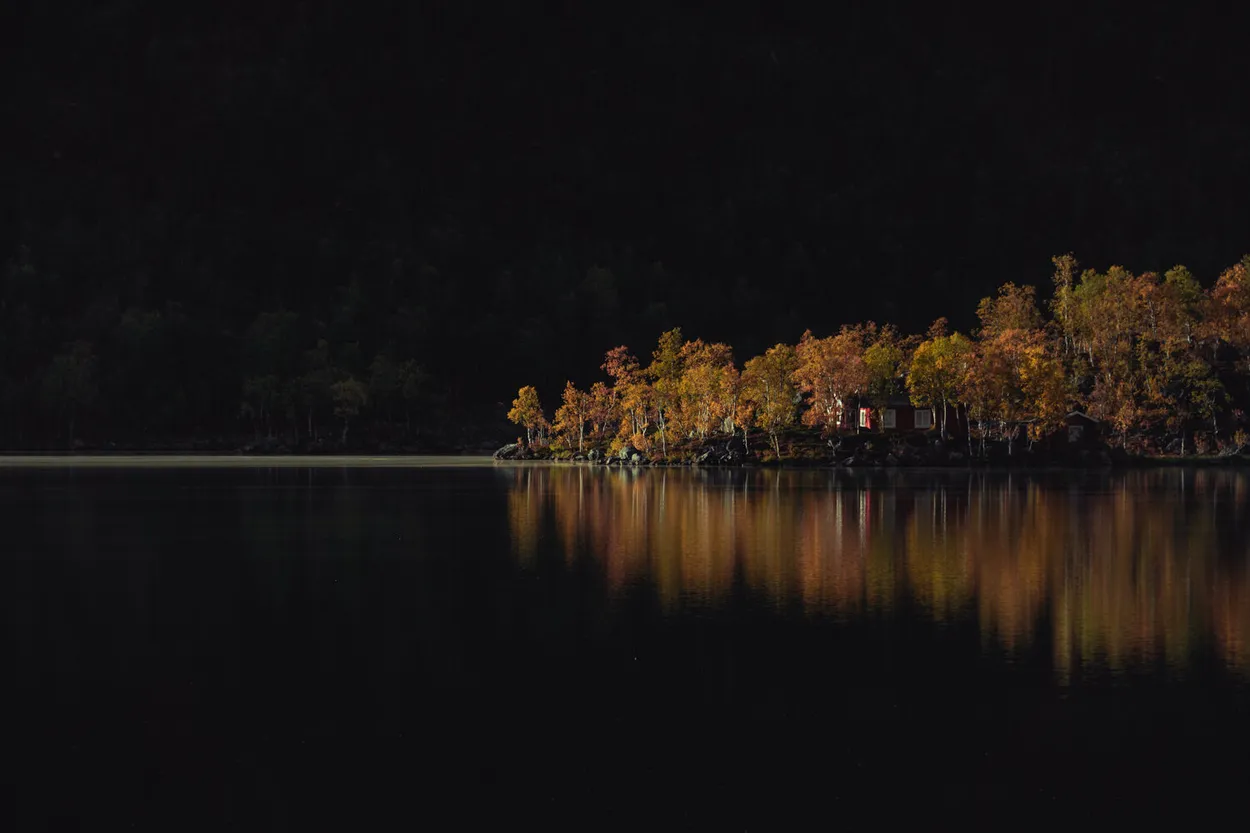 Entry 11259120