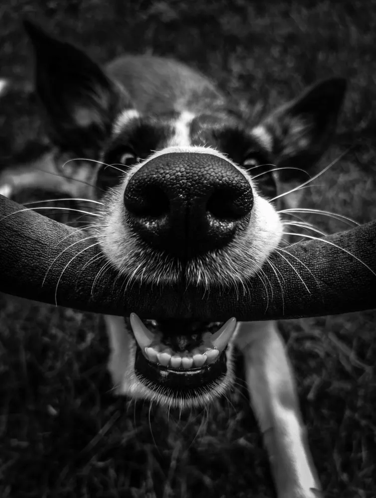 Playtime