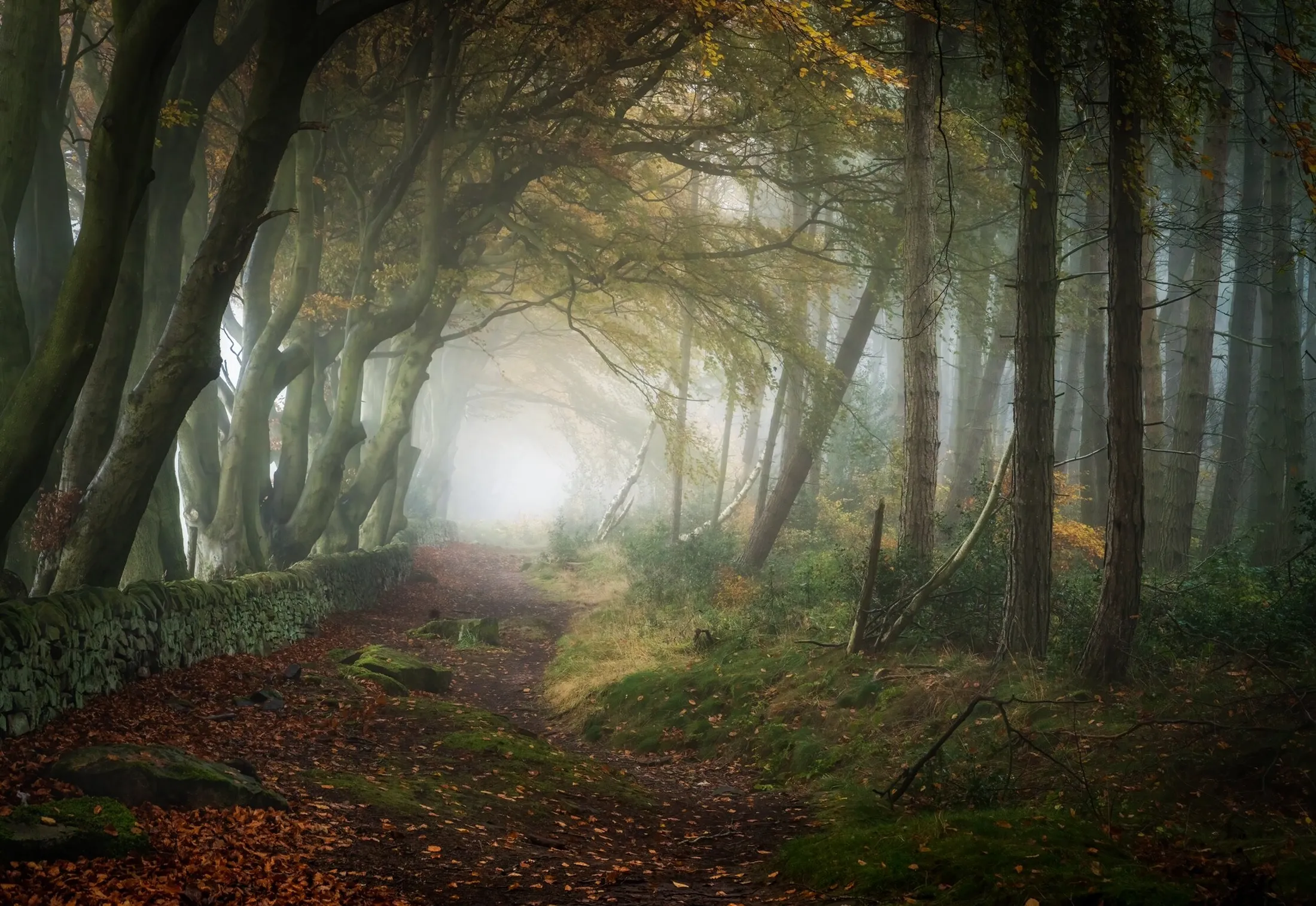 Autumn Void