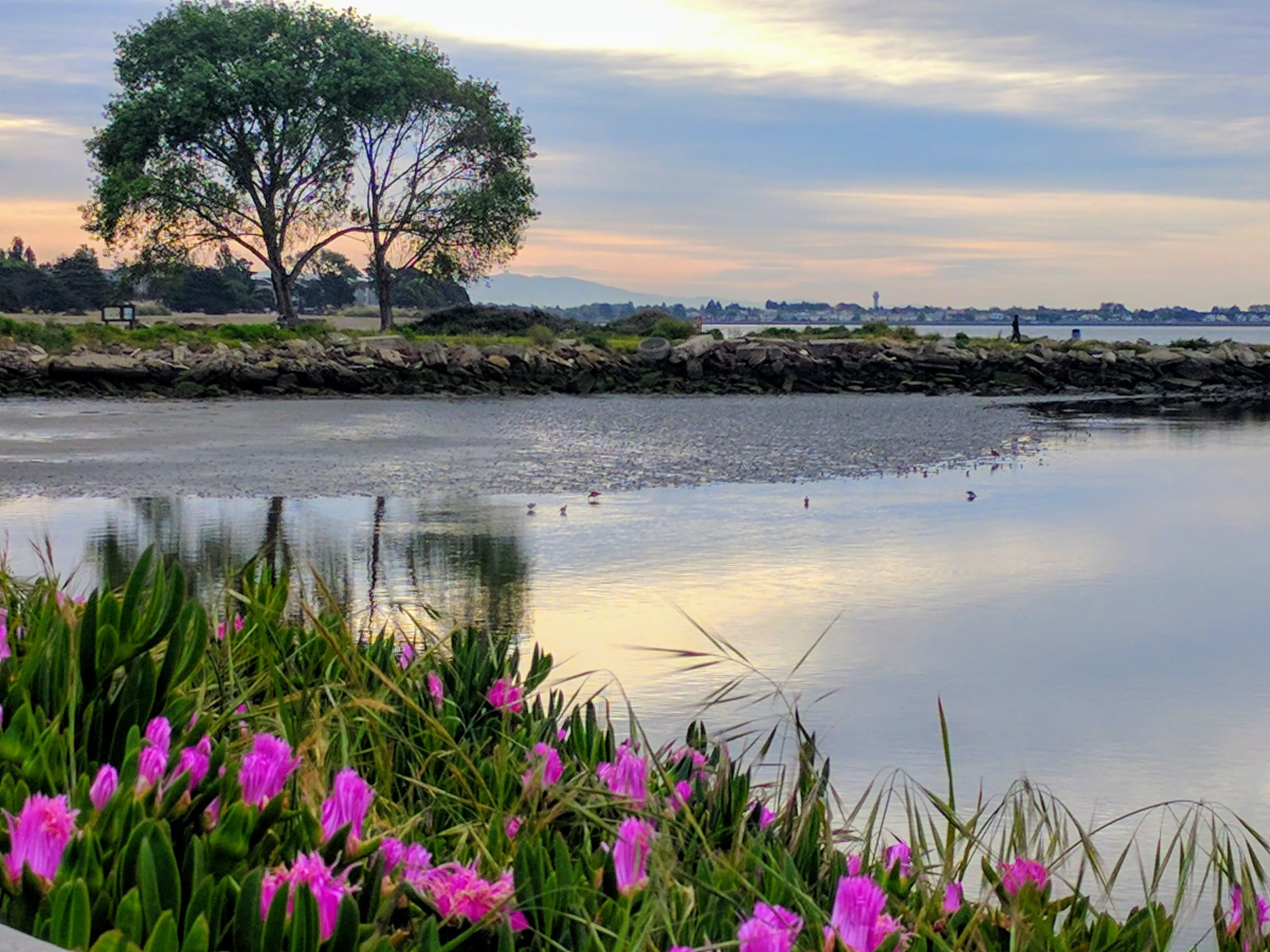 Alameda Crown Reflection