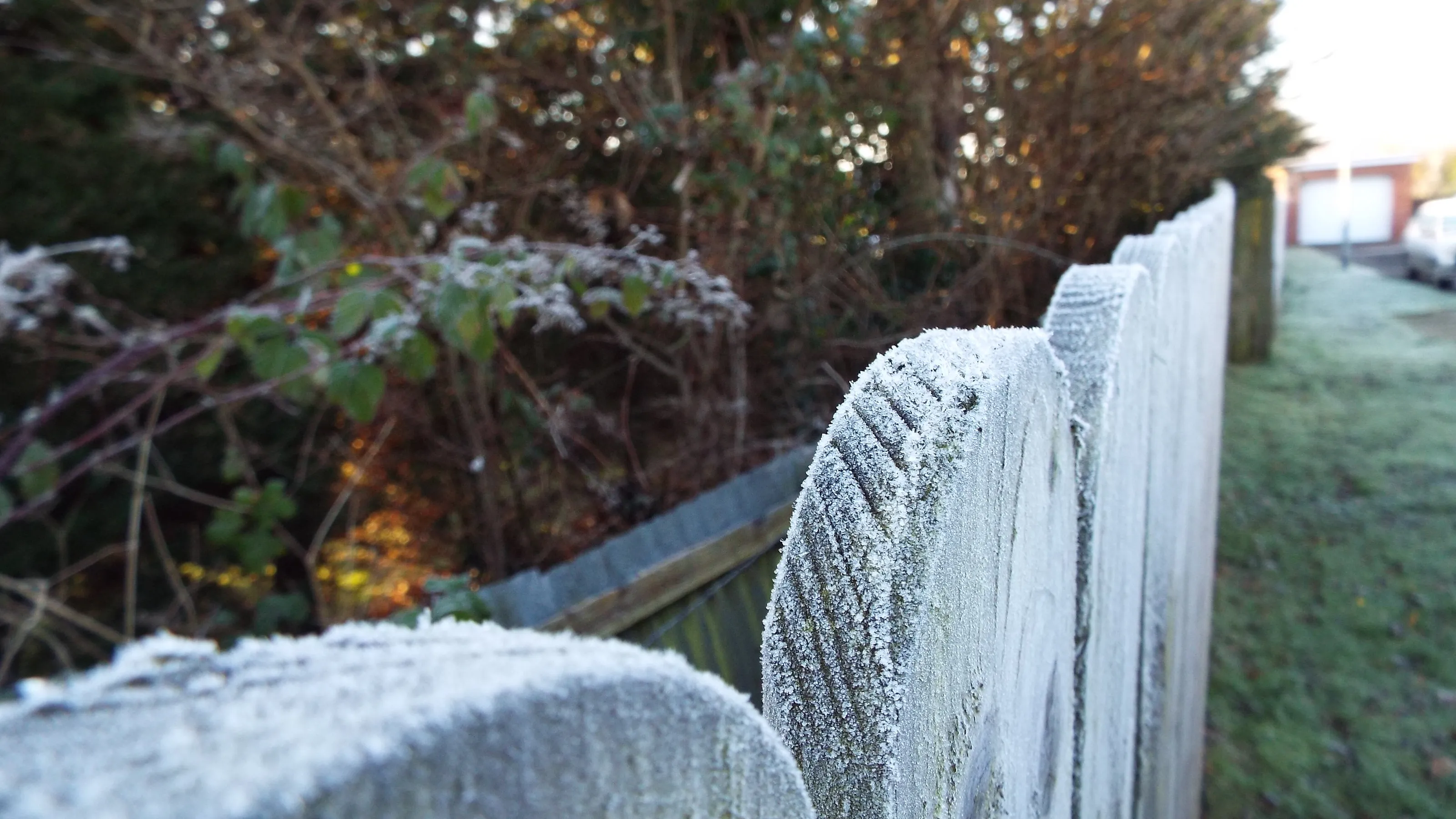 Frosty