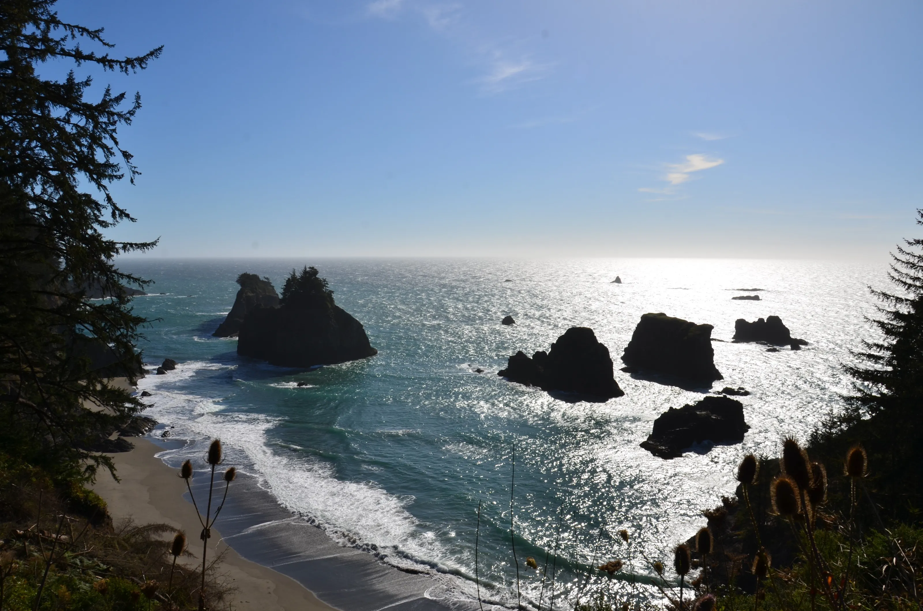 Oregon Cost