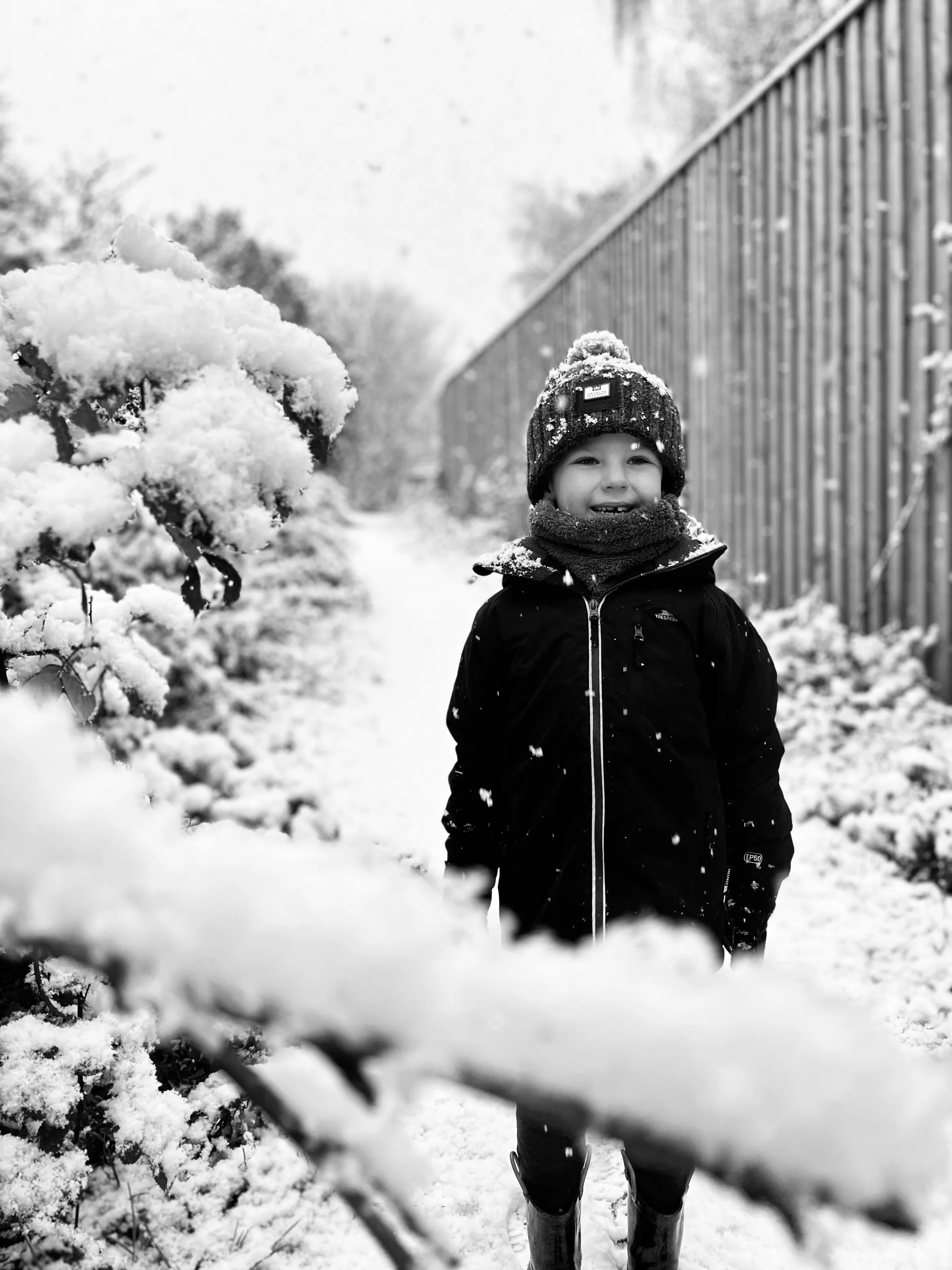 Snowy walk