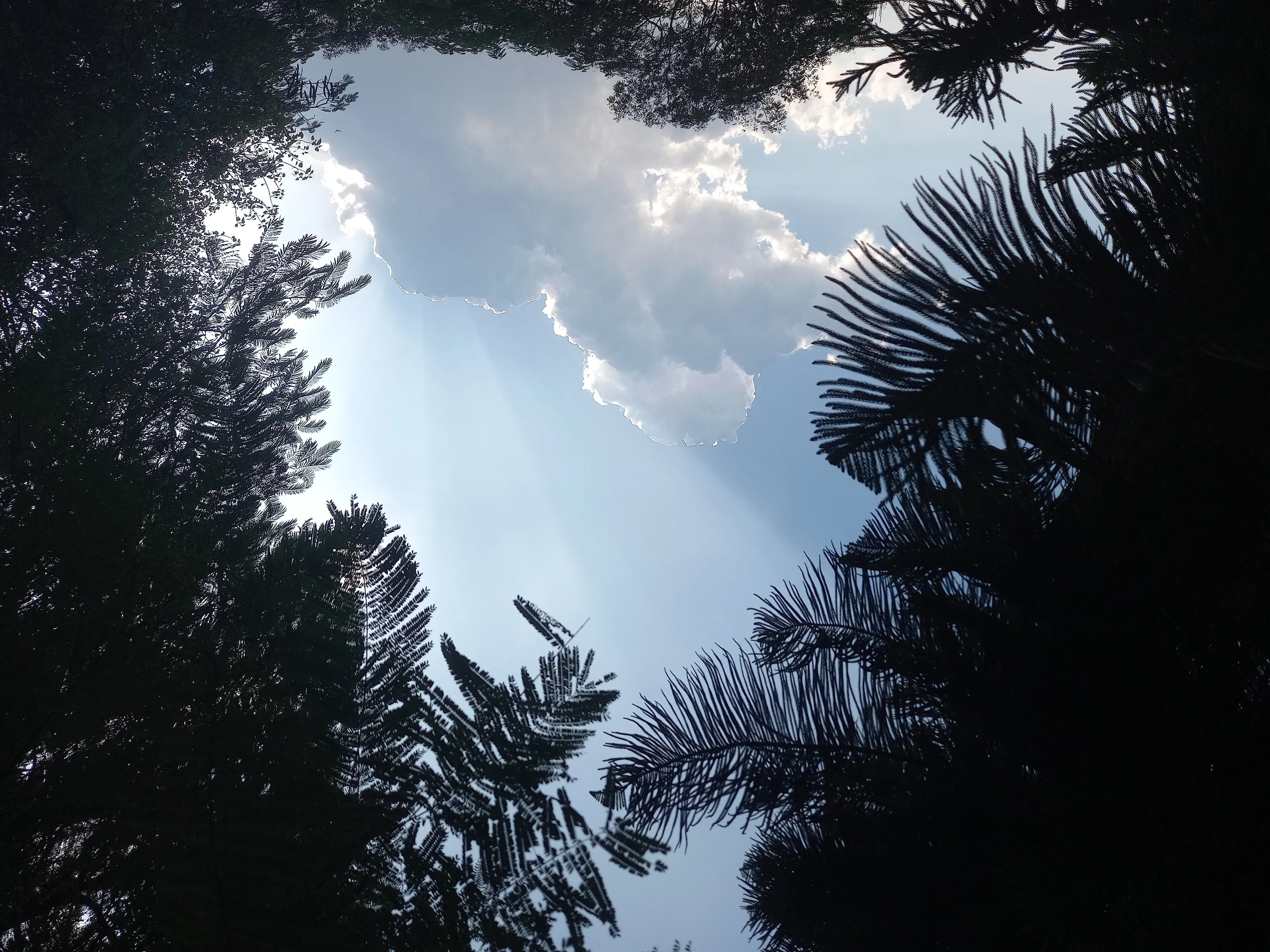 Sky beauty
