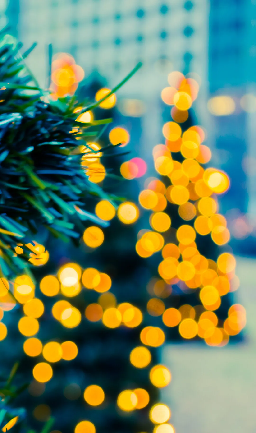 Christmas tree lights